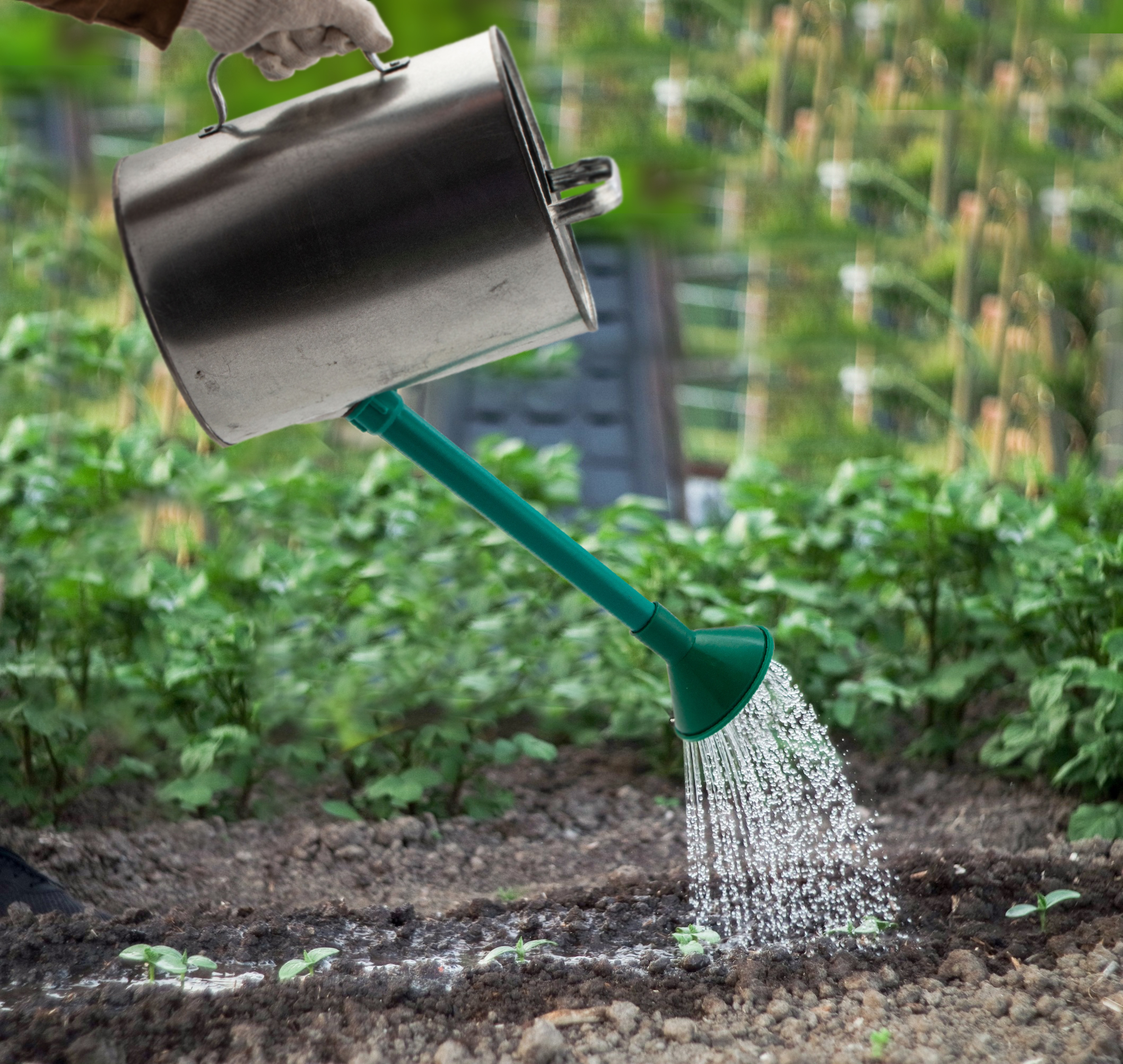 Миниатюра изображения товара 7