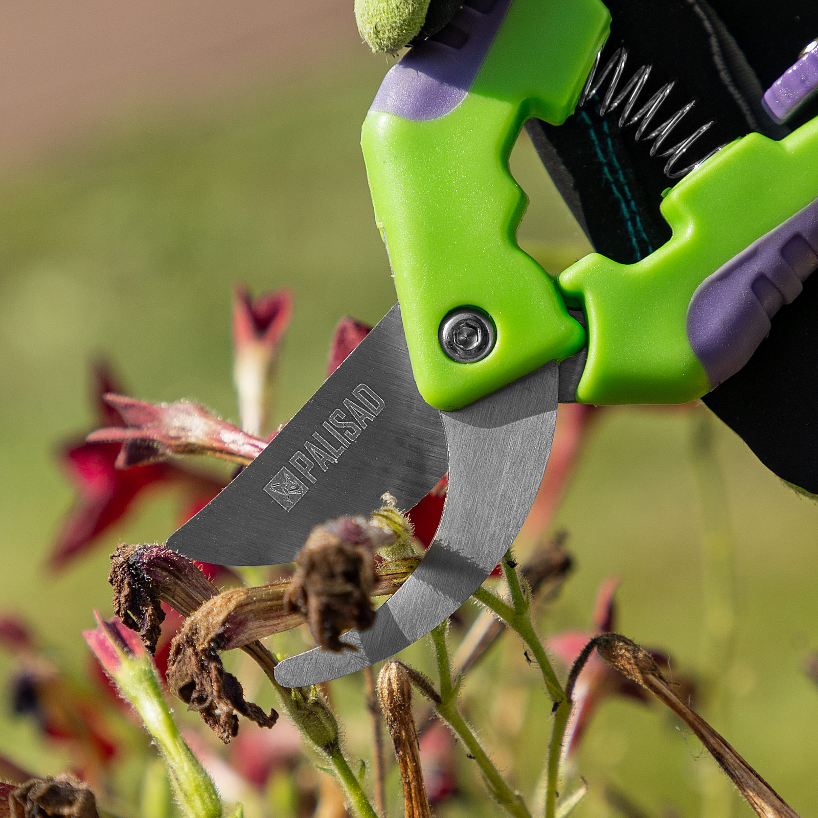 Миниатюра изображения товара 6