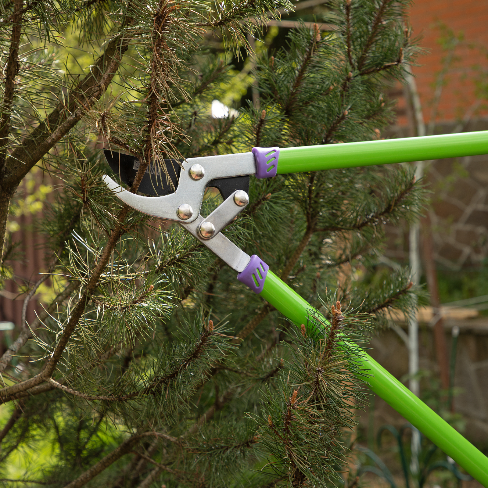 Миниатюра изображения товара 6