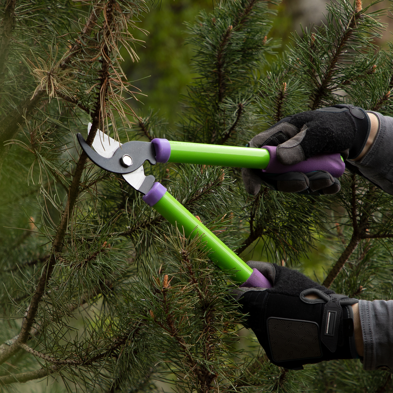 Миниатюра изображения товара 5