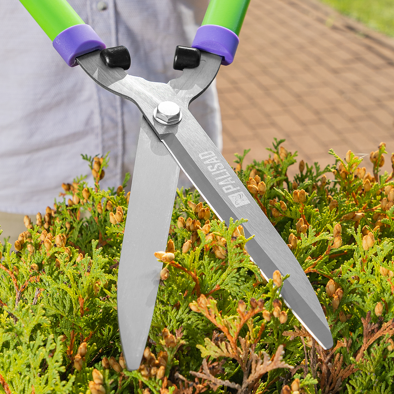 Миниатюра изображения товара 12