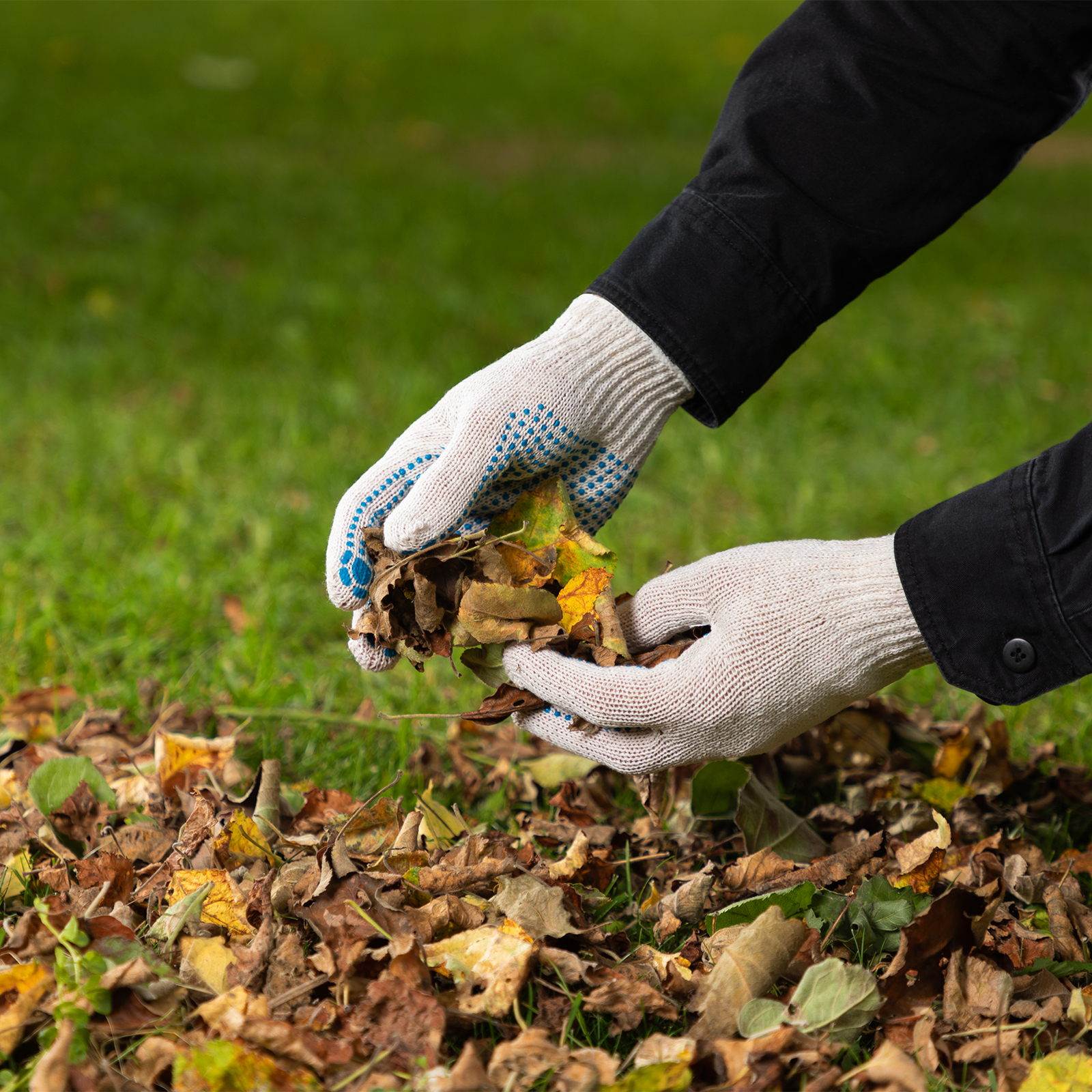 Миниатюра изображения товара 4