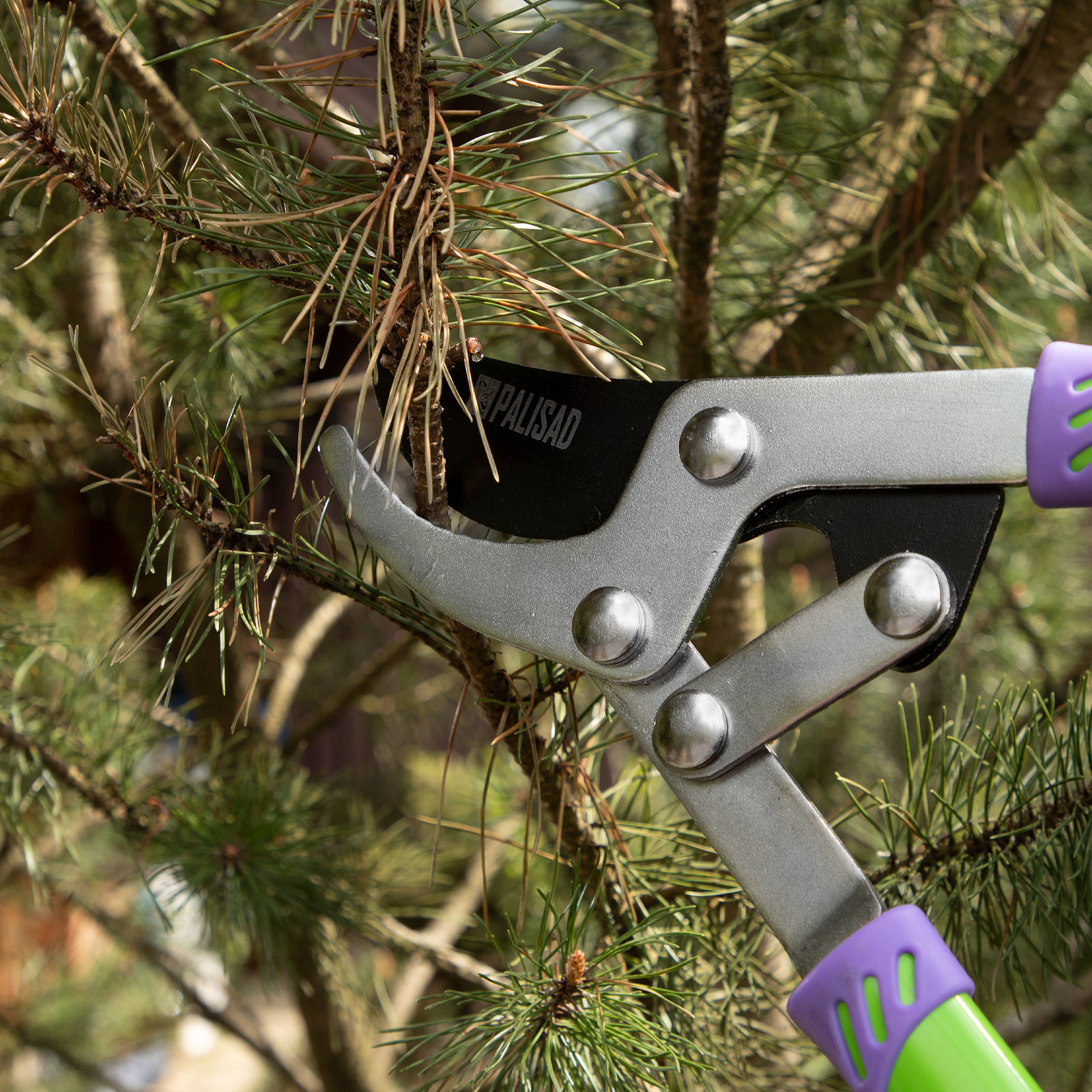 Миниатюра изображения товара 7