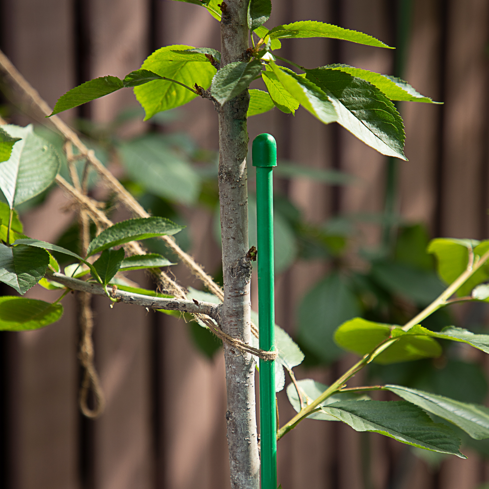 Миниатюра изображения товара 3