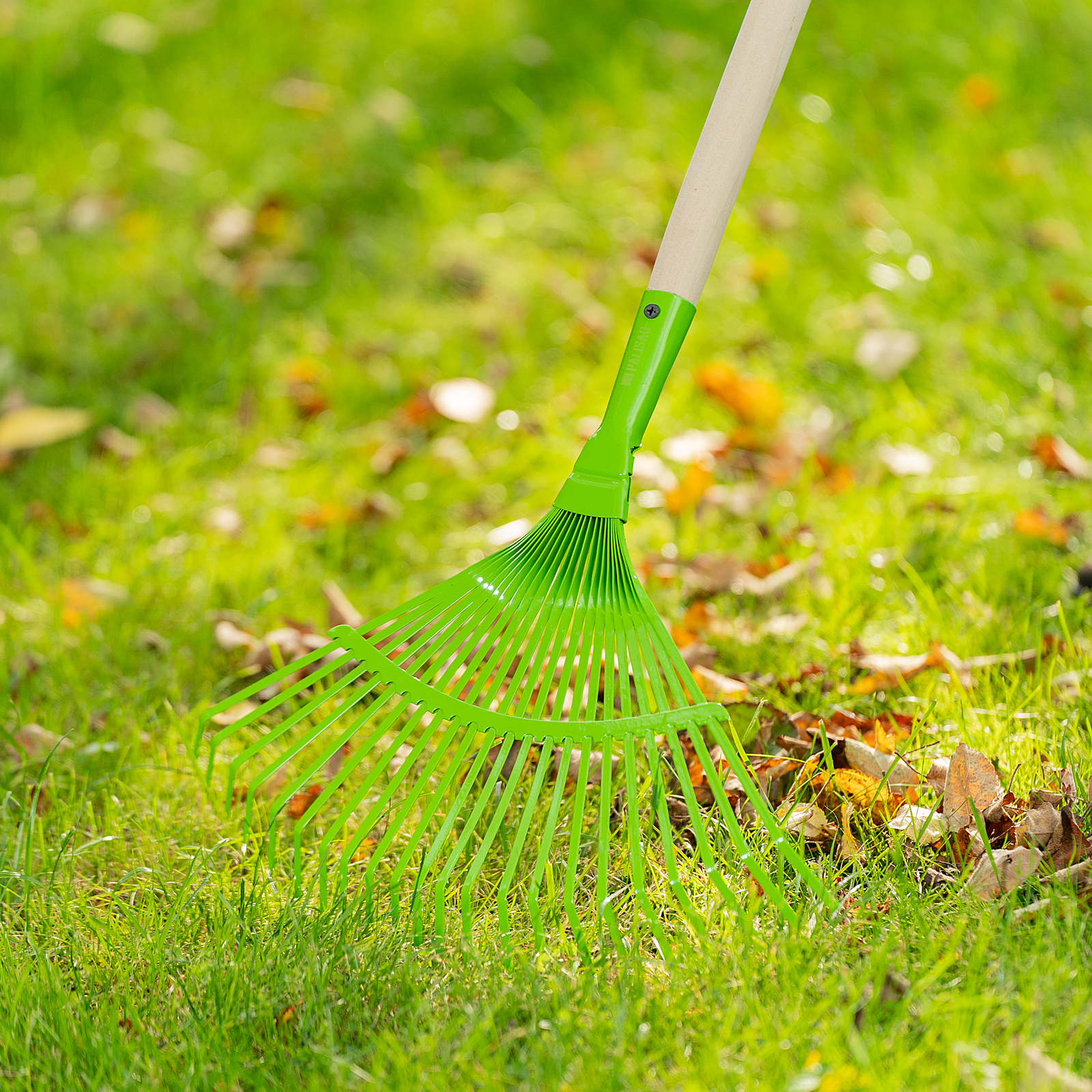 Миниатюра изображения товара 1