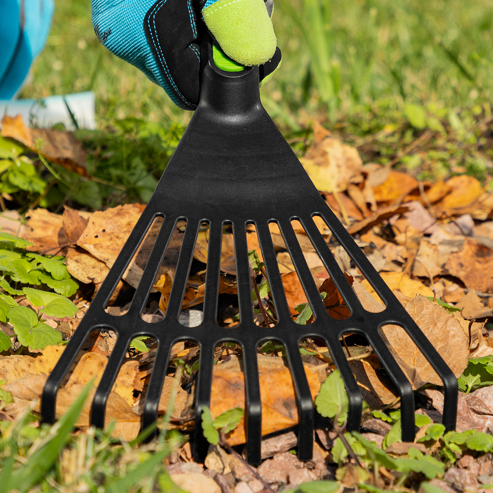 Миниатюра изображения товара 10