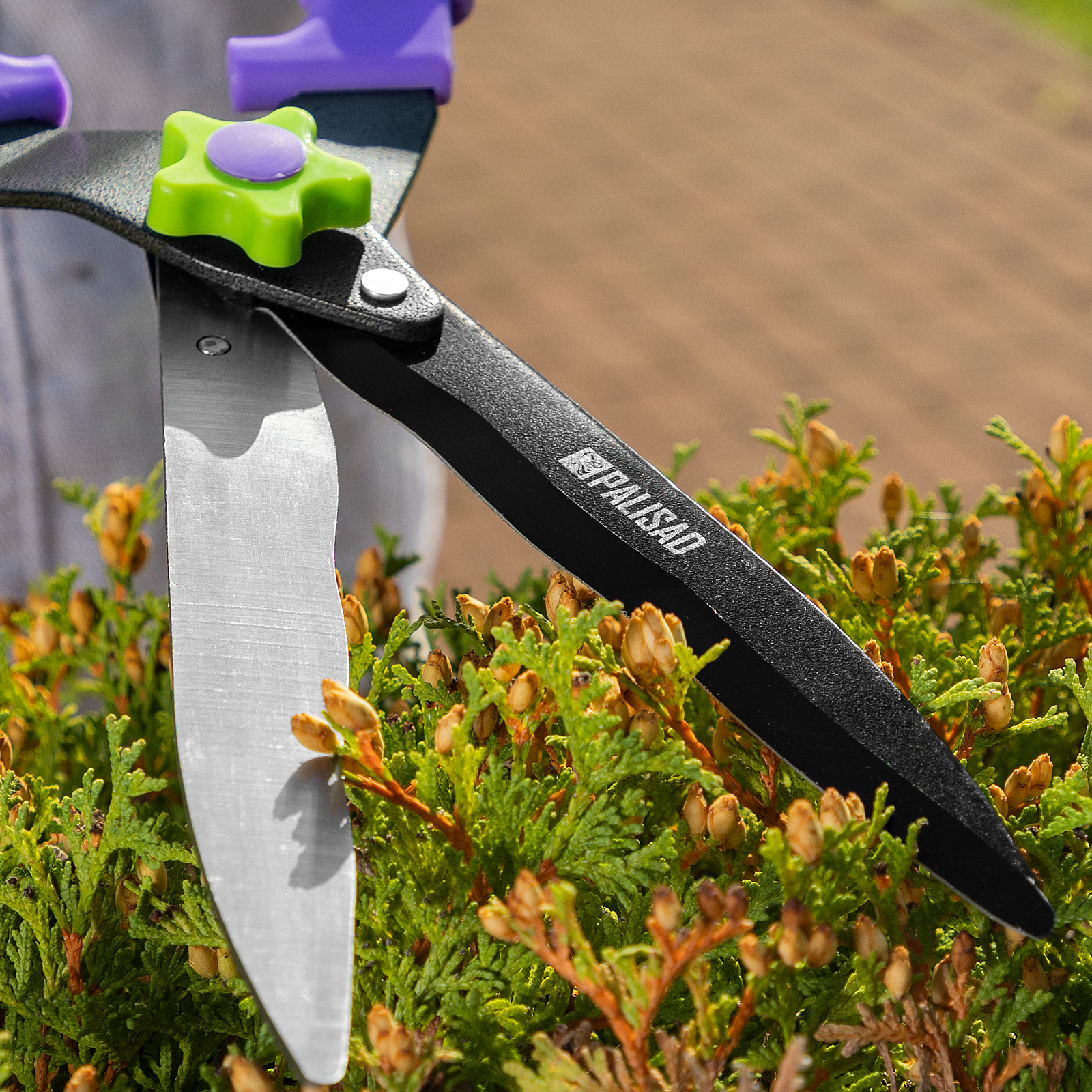 Миниатюра изображения товара 11