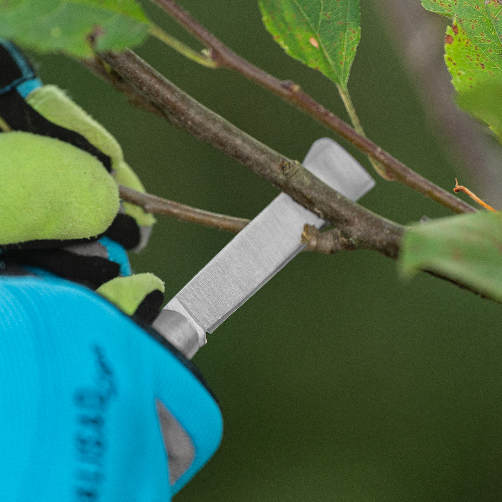 Миниатюра изображения товара 13