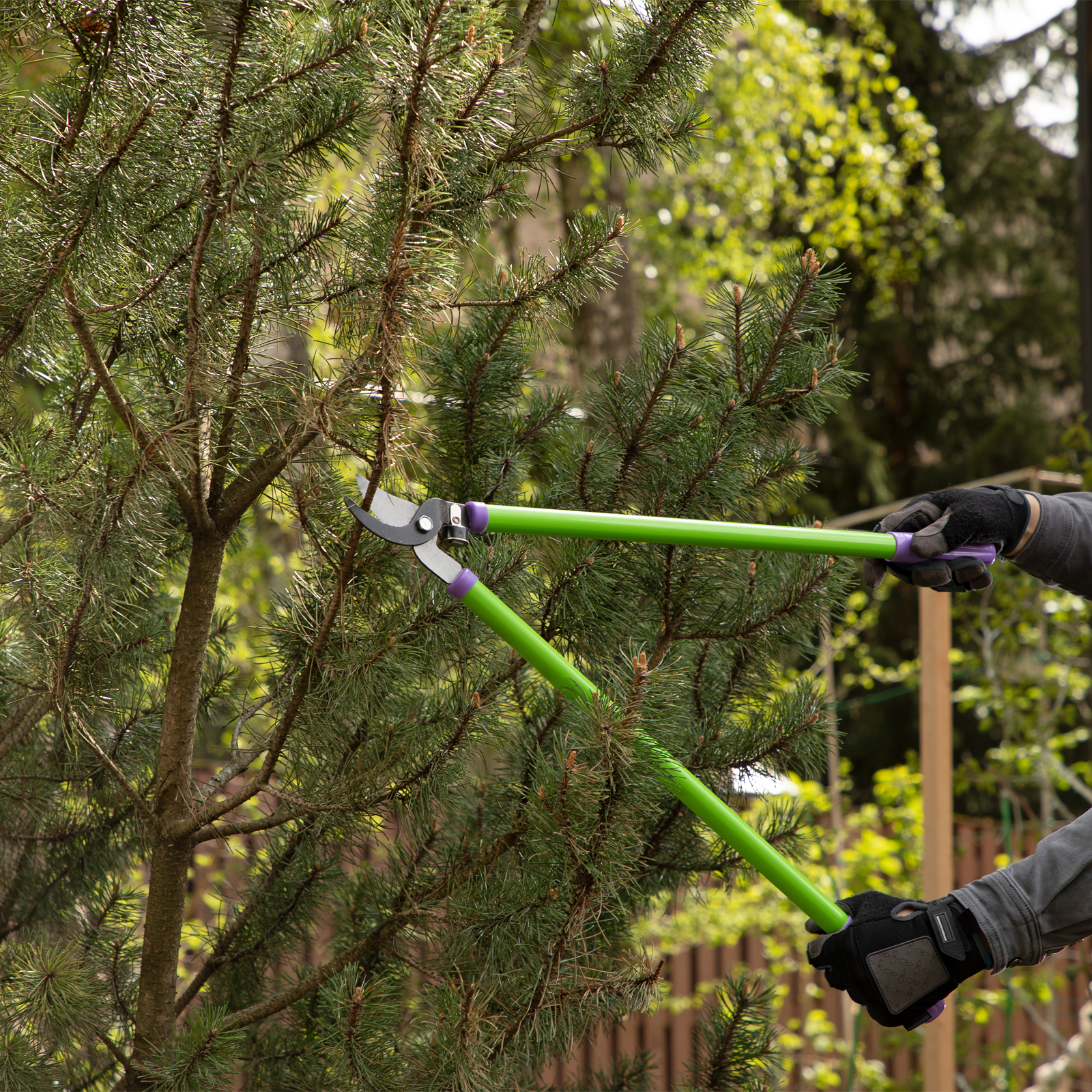 Миниатюра изображения товара 6