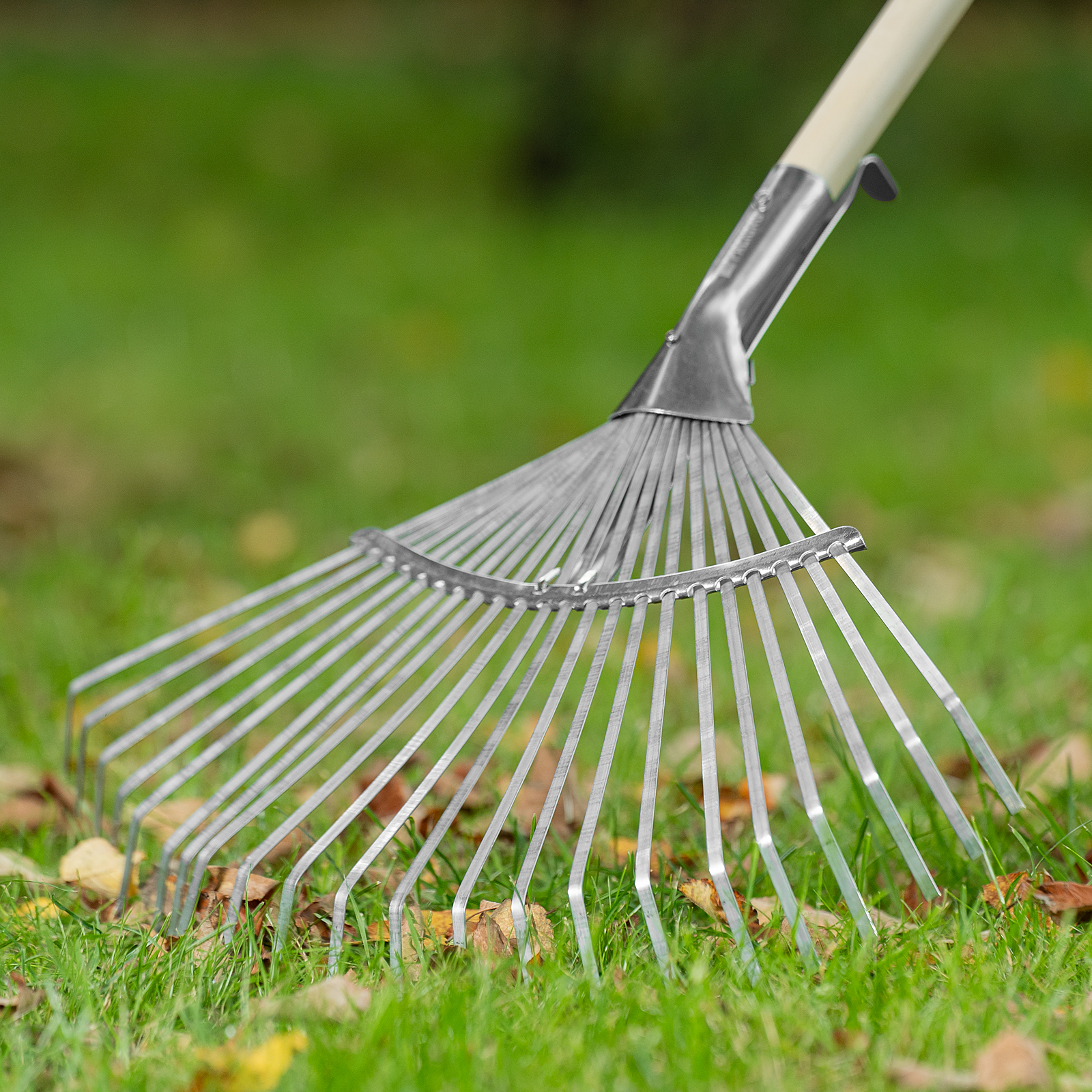 Миниатюра изображения товара 2