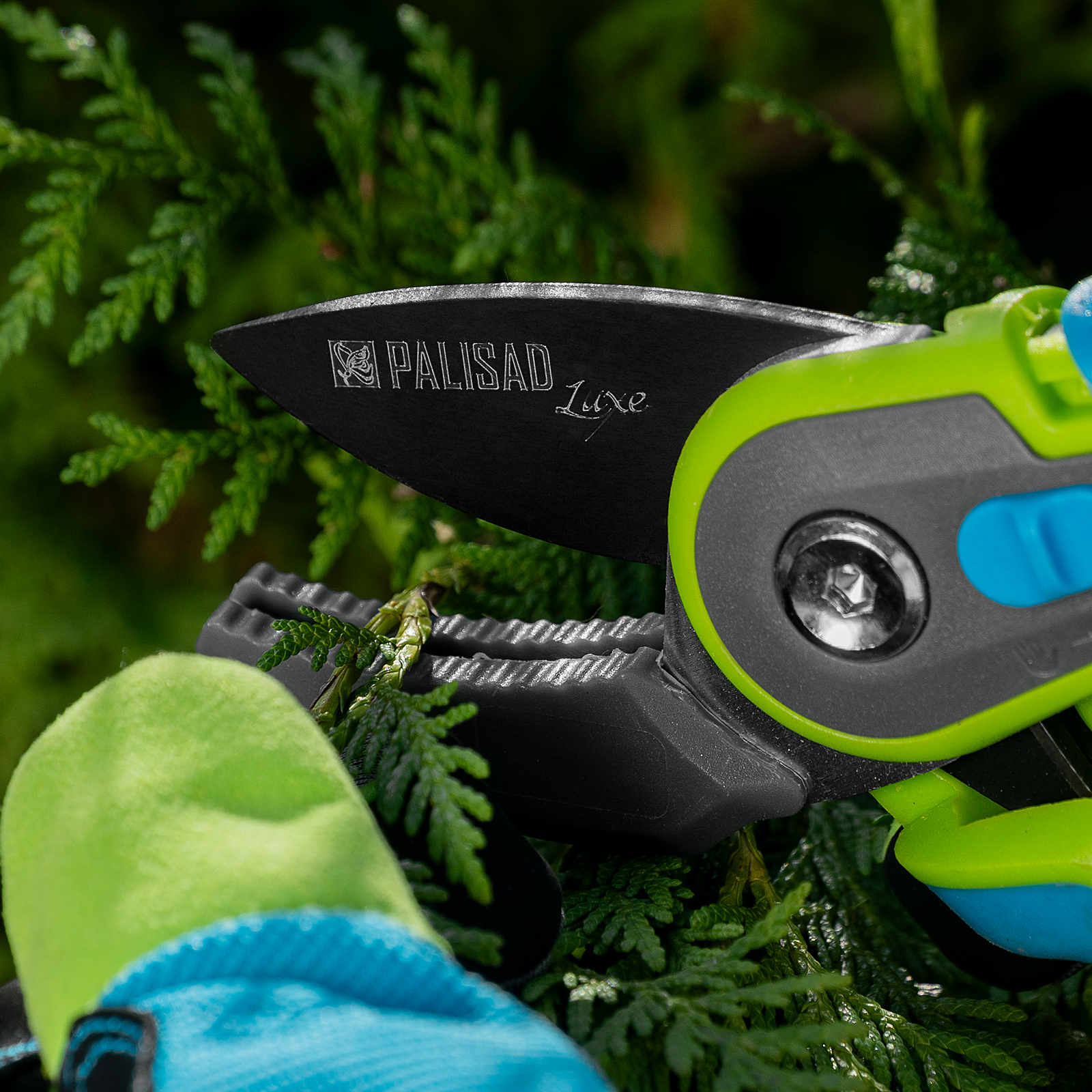 Миниатюра изображения товара 12