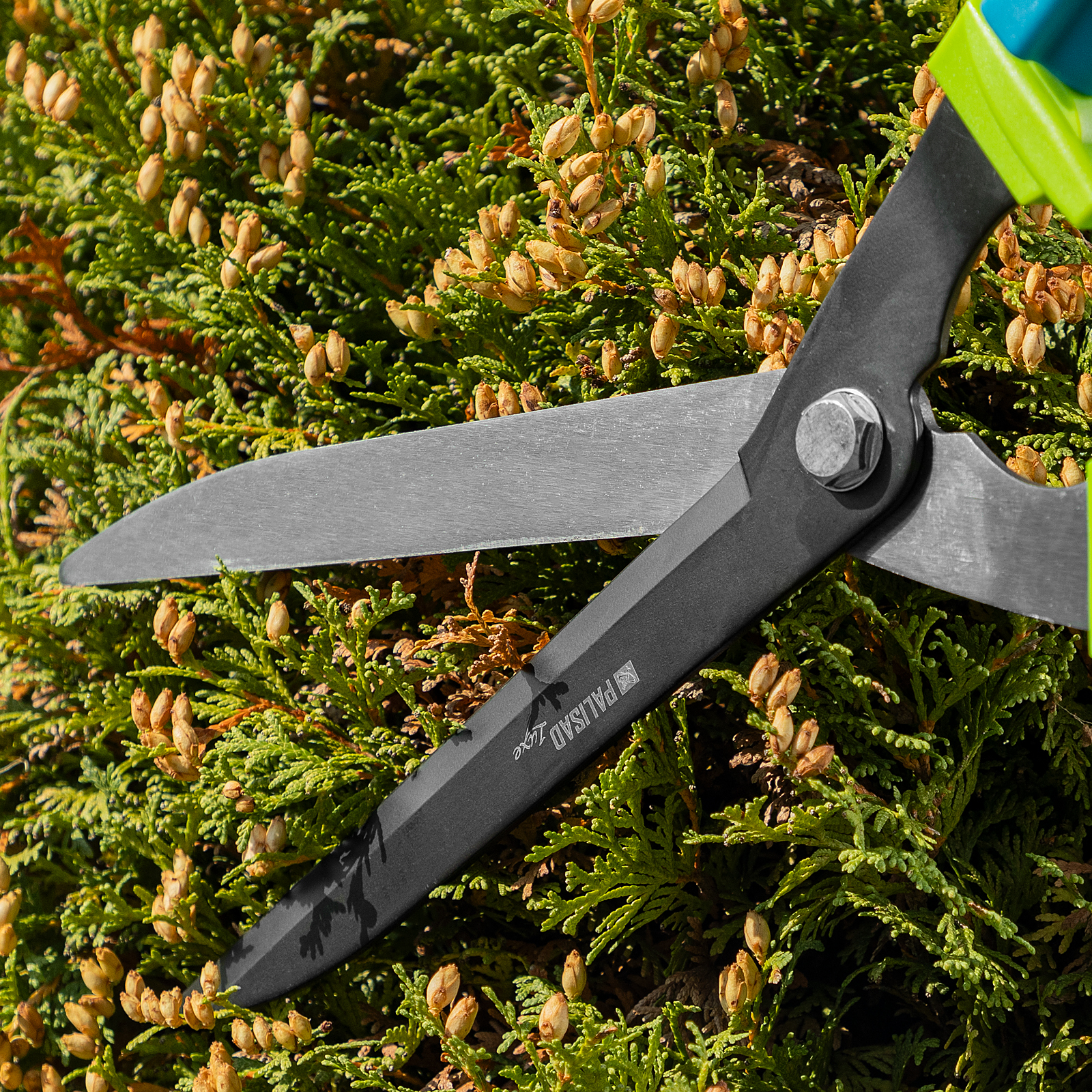 Миниатюра изображения товара 12