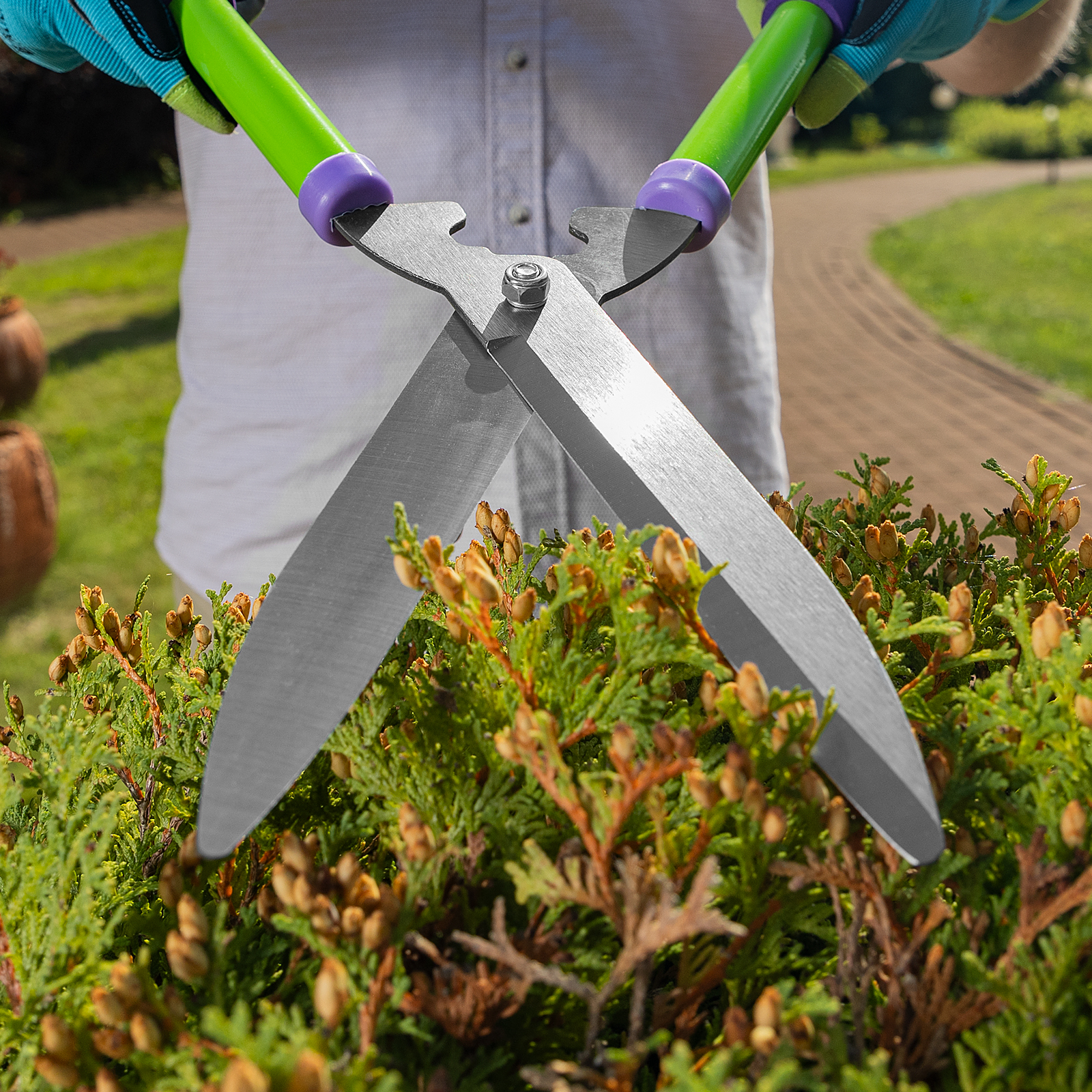 Миниатюра изображения товара 11