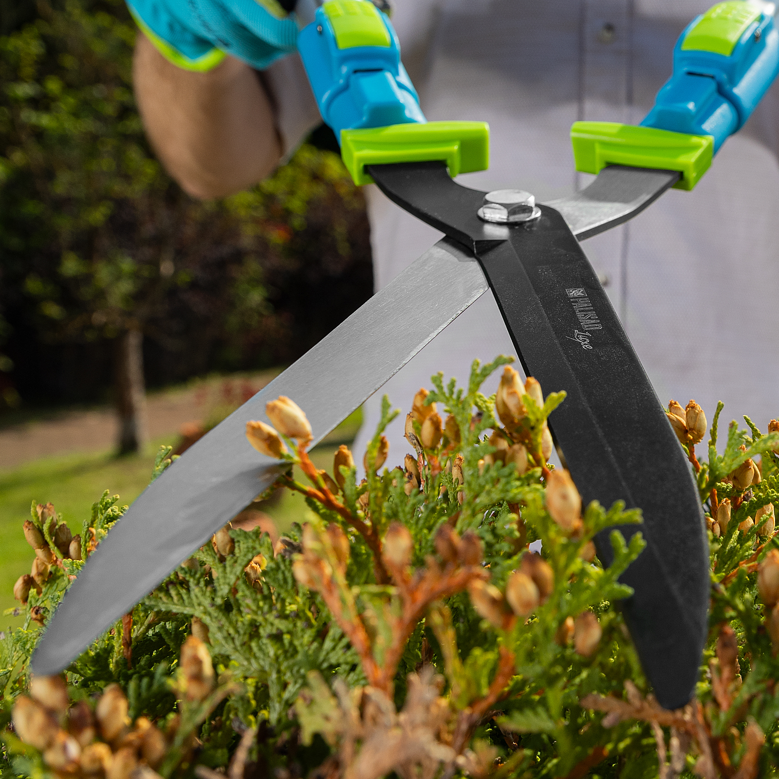 Миниатюра изображения товара 13