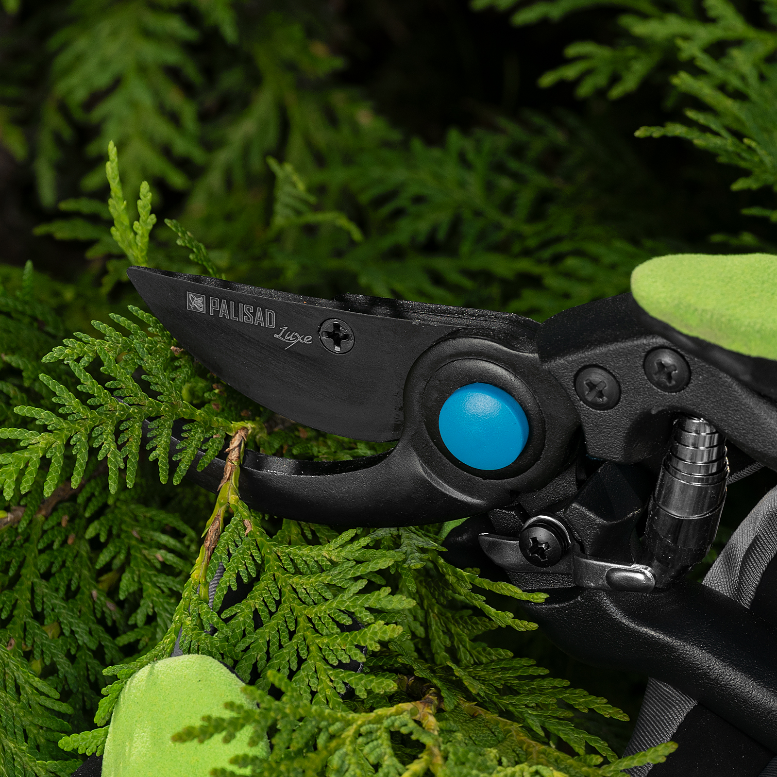 Миниатюра изображения товара 12