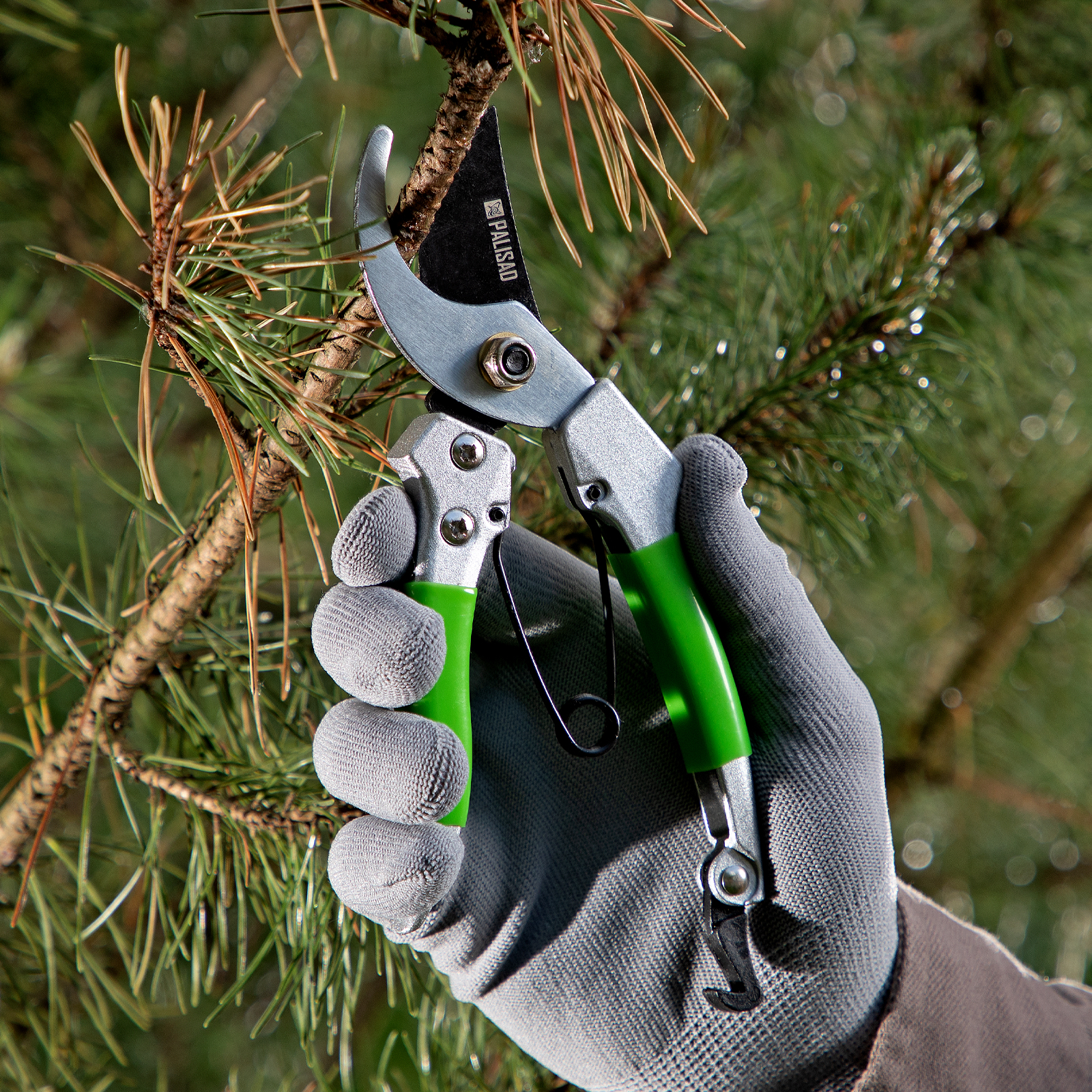 Миниатюра изображения товара 8