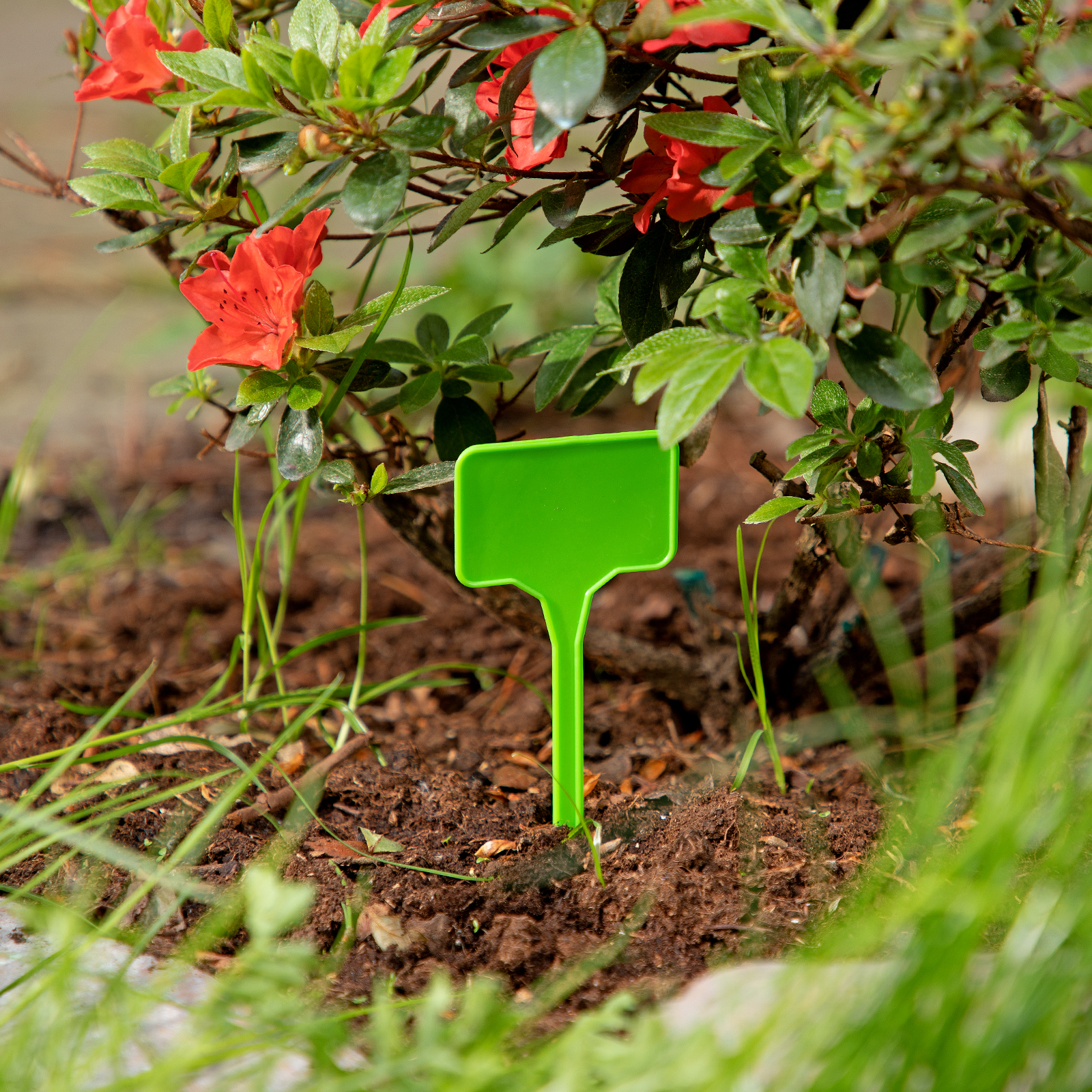 Миниатюра изображения товара 5