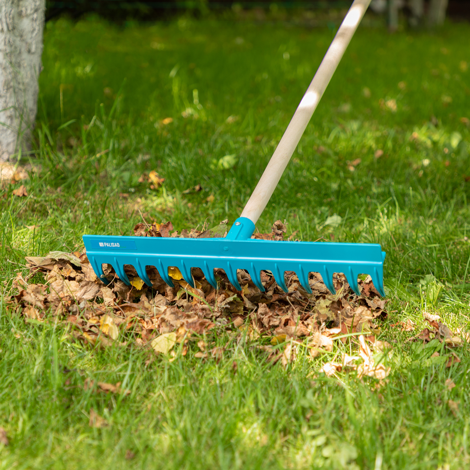 Миниатюра изображения товара 5