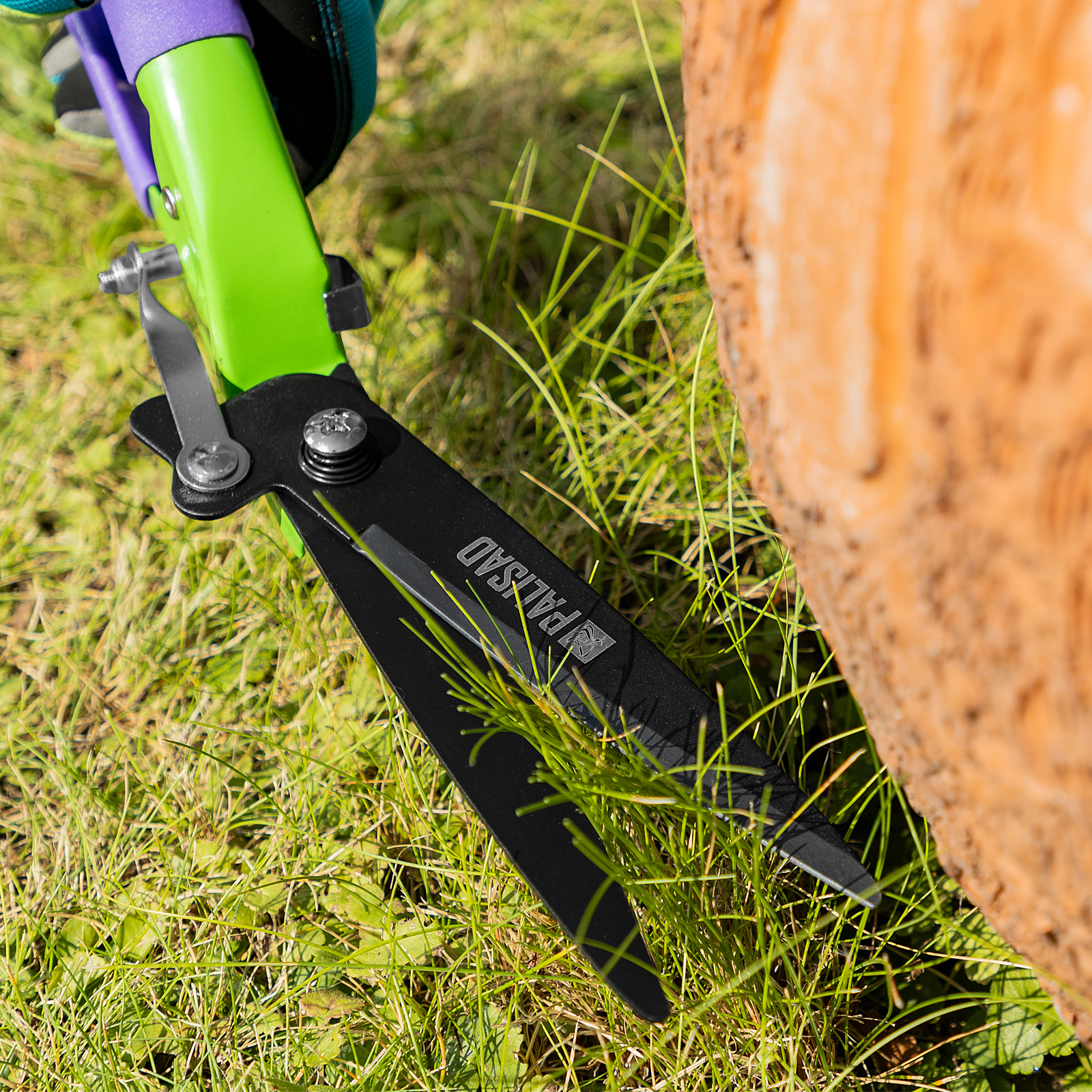 Миниатюра изображения товара 10