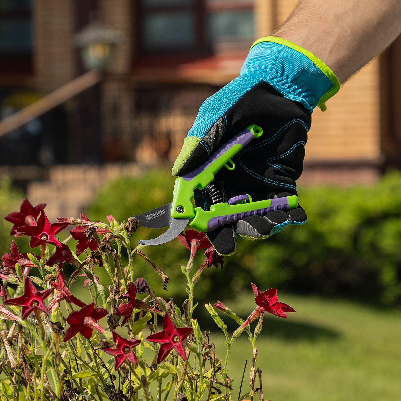 Миниатюра изображения товара 5