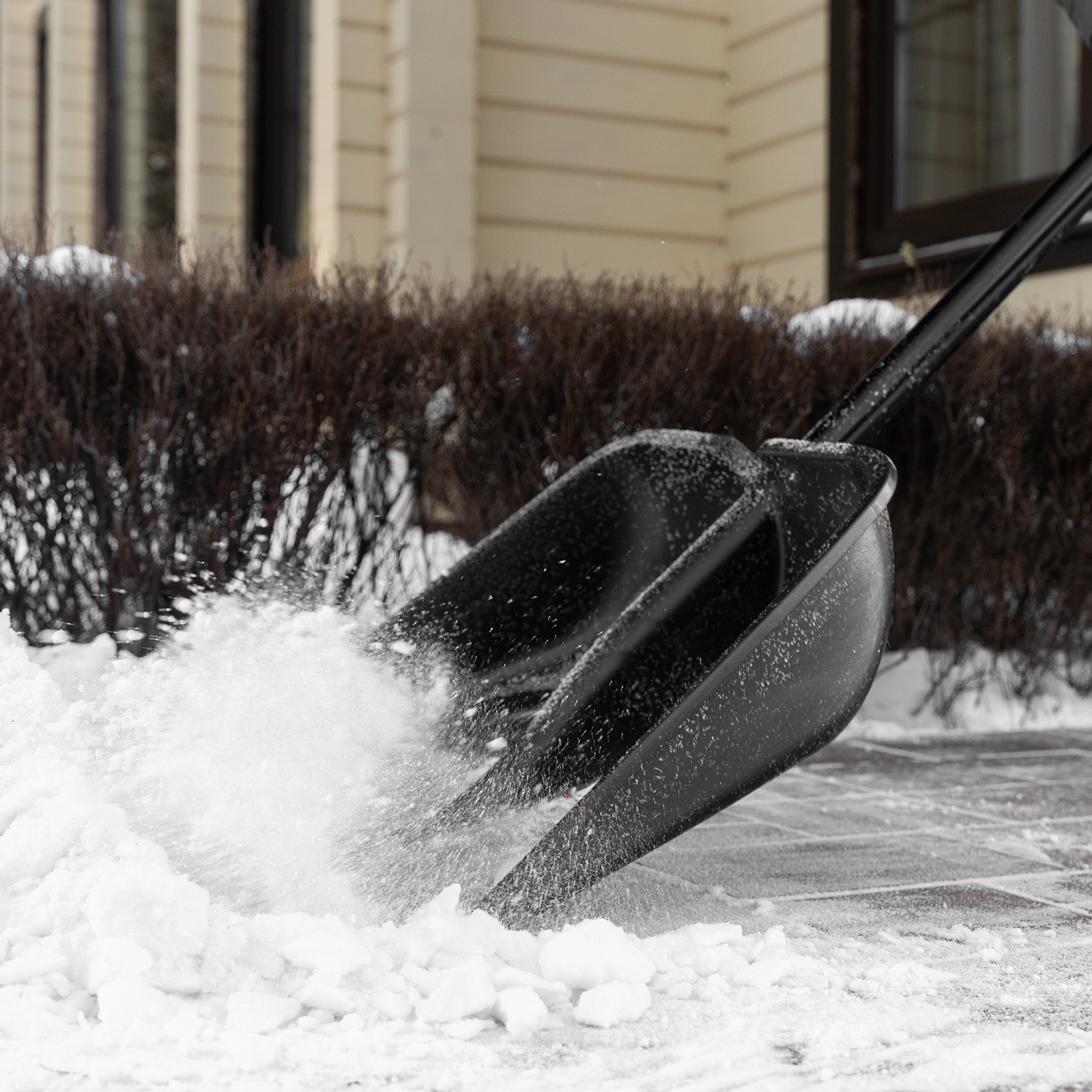 Миниатюра изображения товара 8