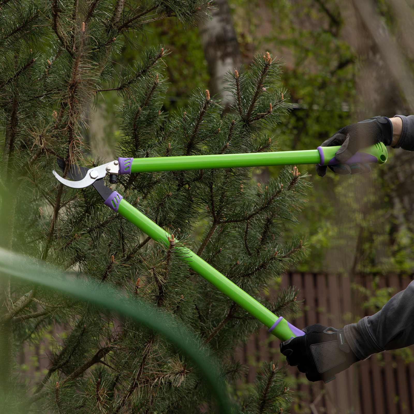 Миниатюра изображения товара 7