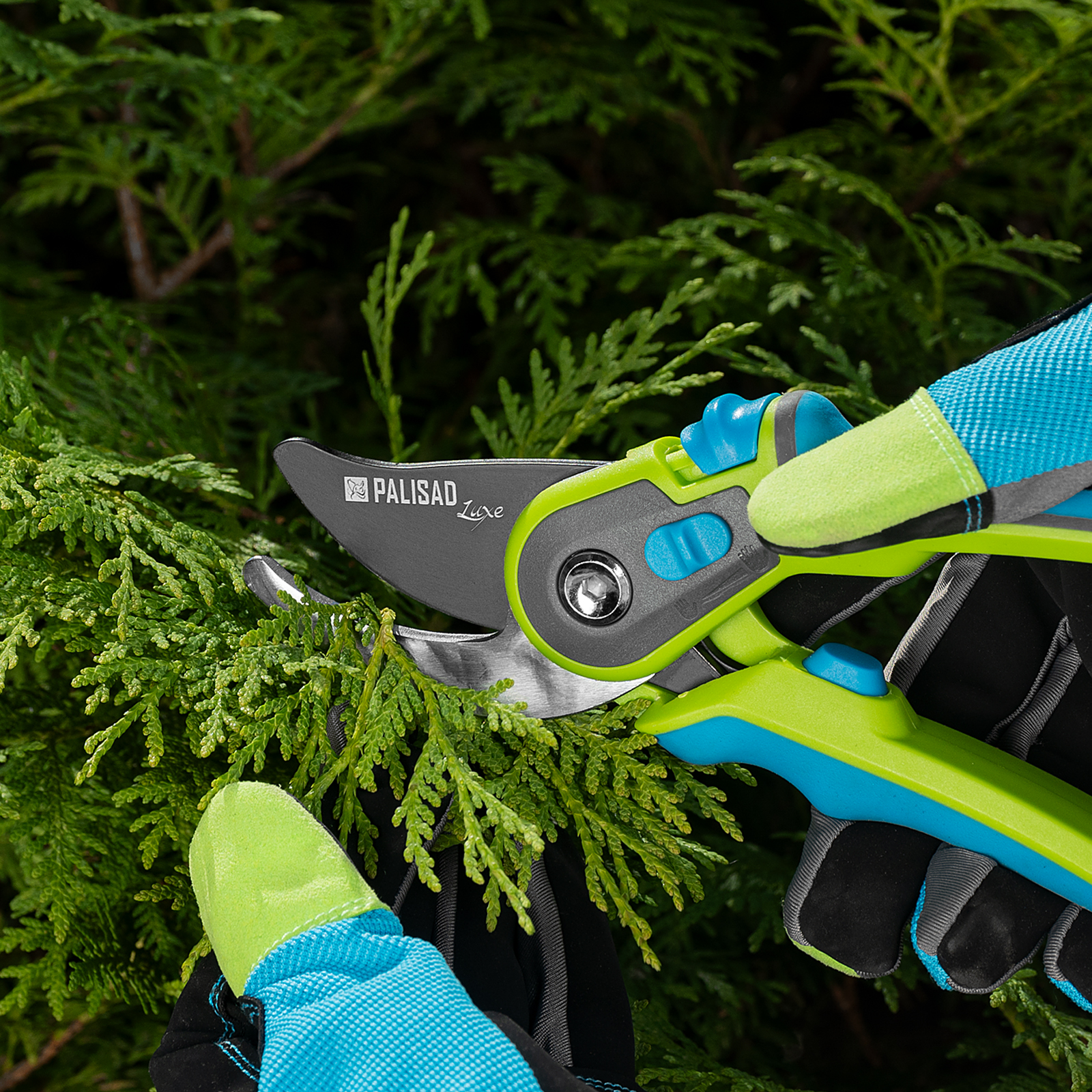 Миниатюра изображения товара 10