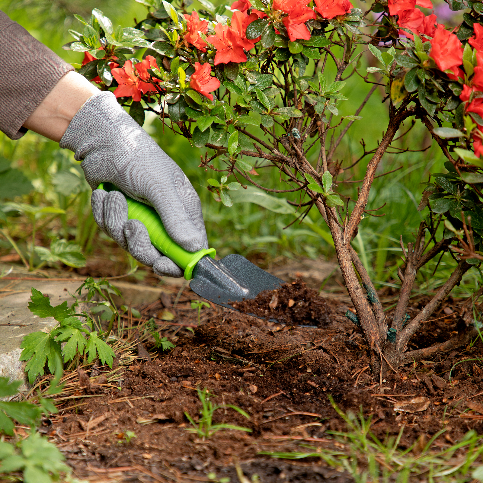 Миниатюра изображения товара 6