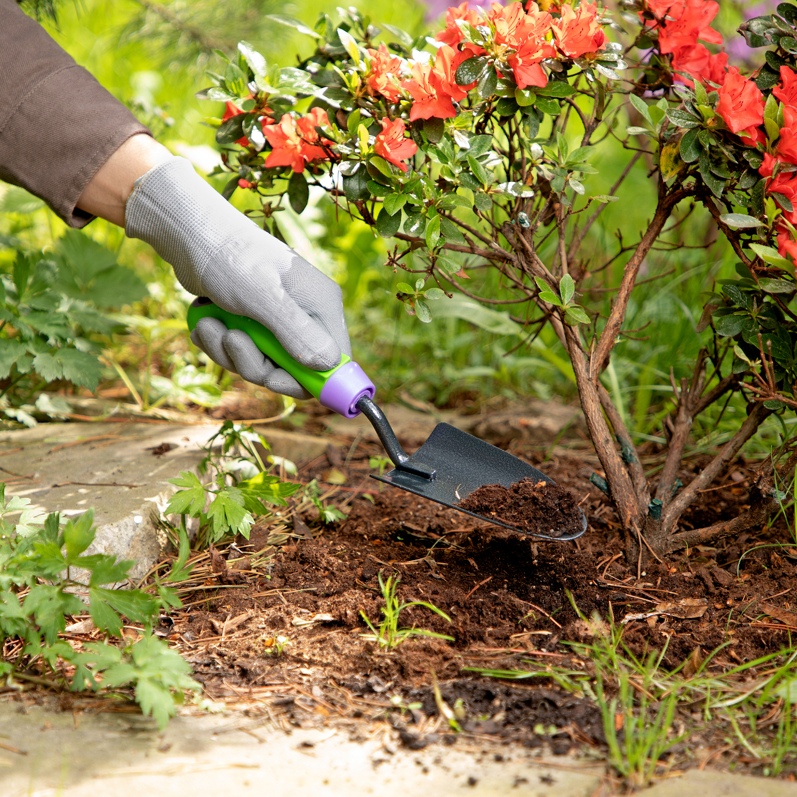 Миниатюра изображения товара 7