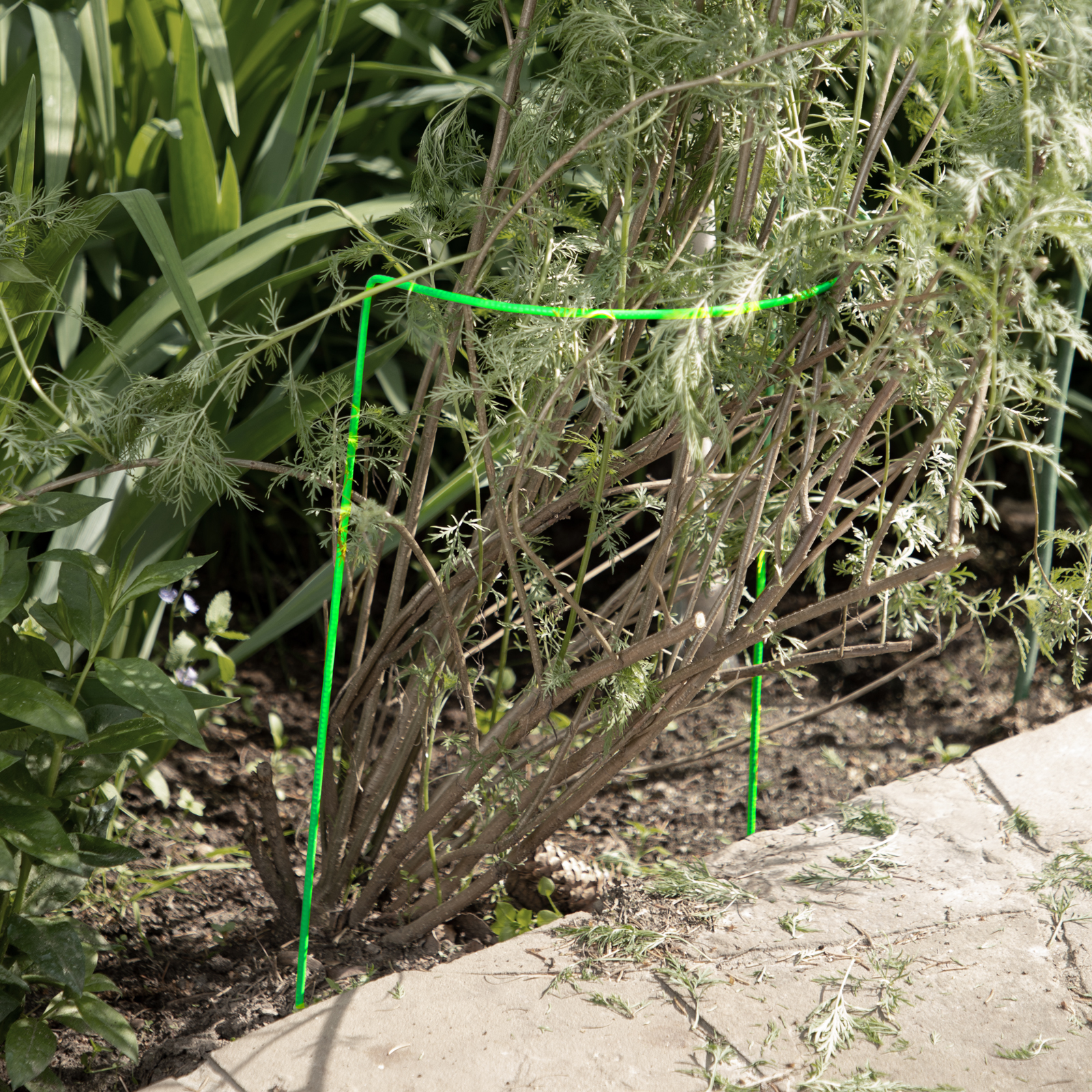 Миниатюра изображения товара 4