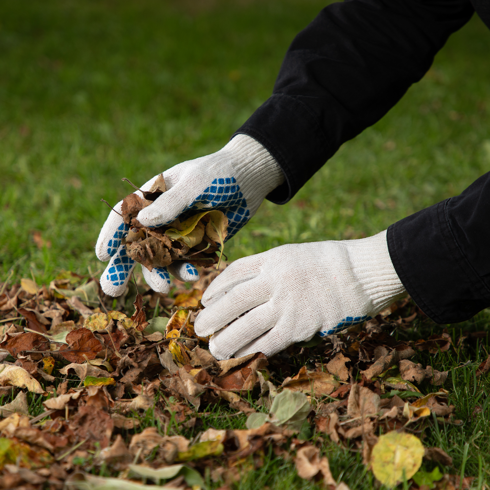 Миниатюра изображения товара 4