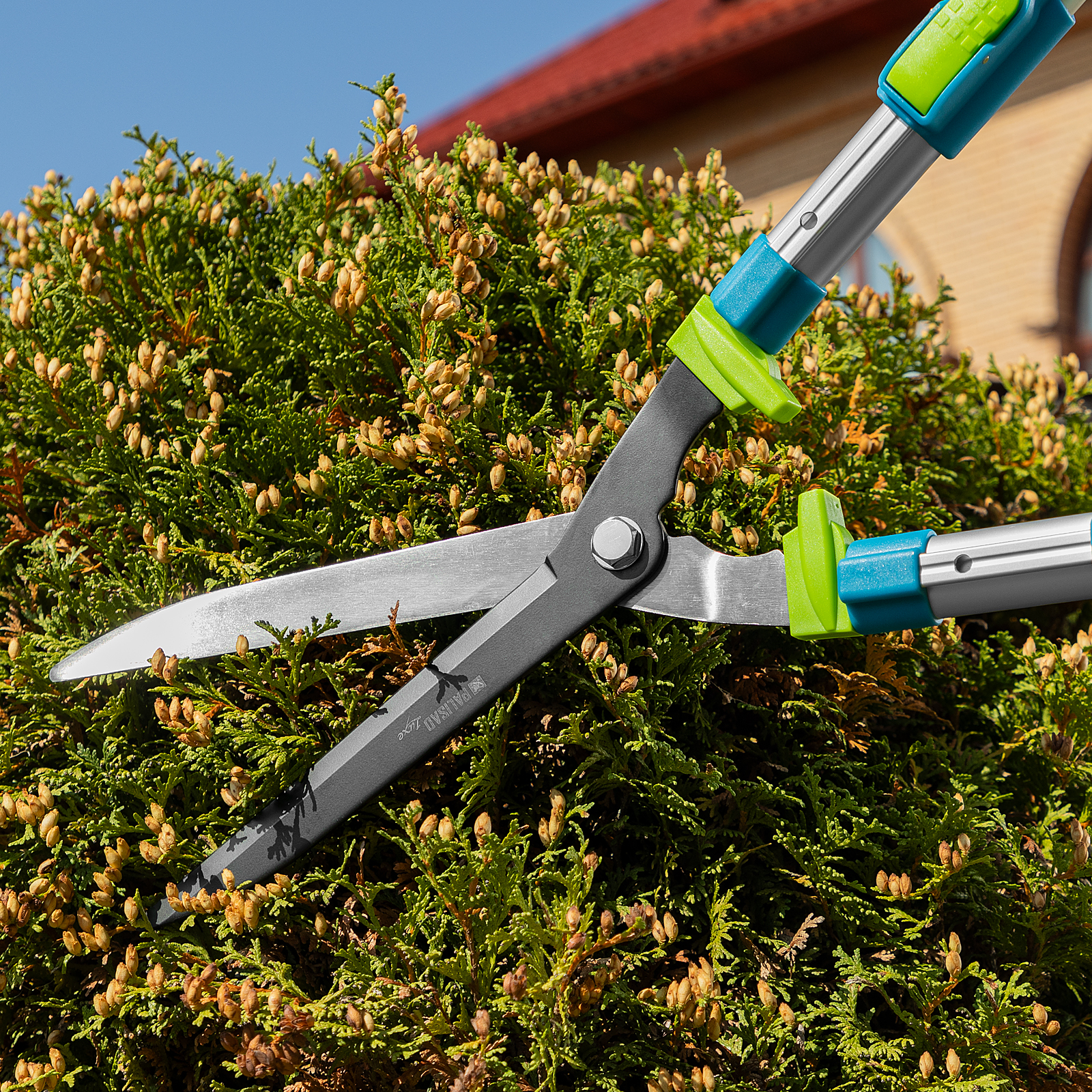 Миниатюра изображения товара 11