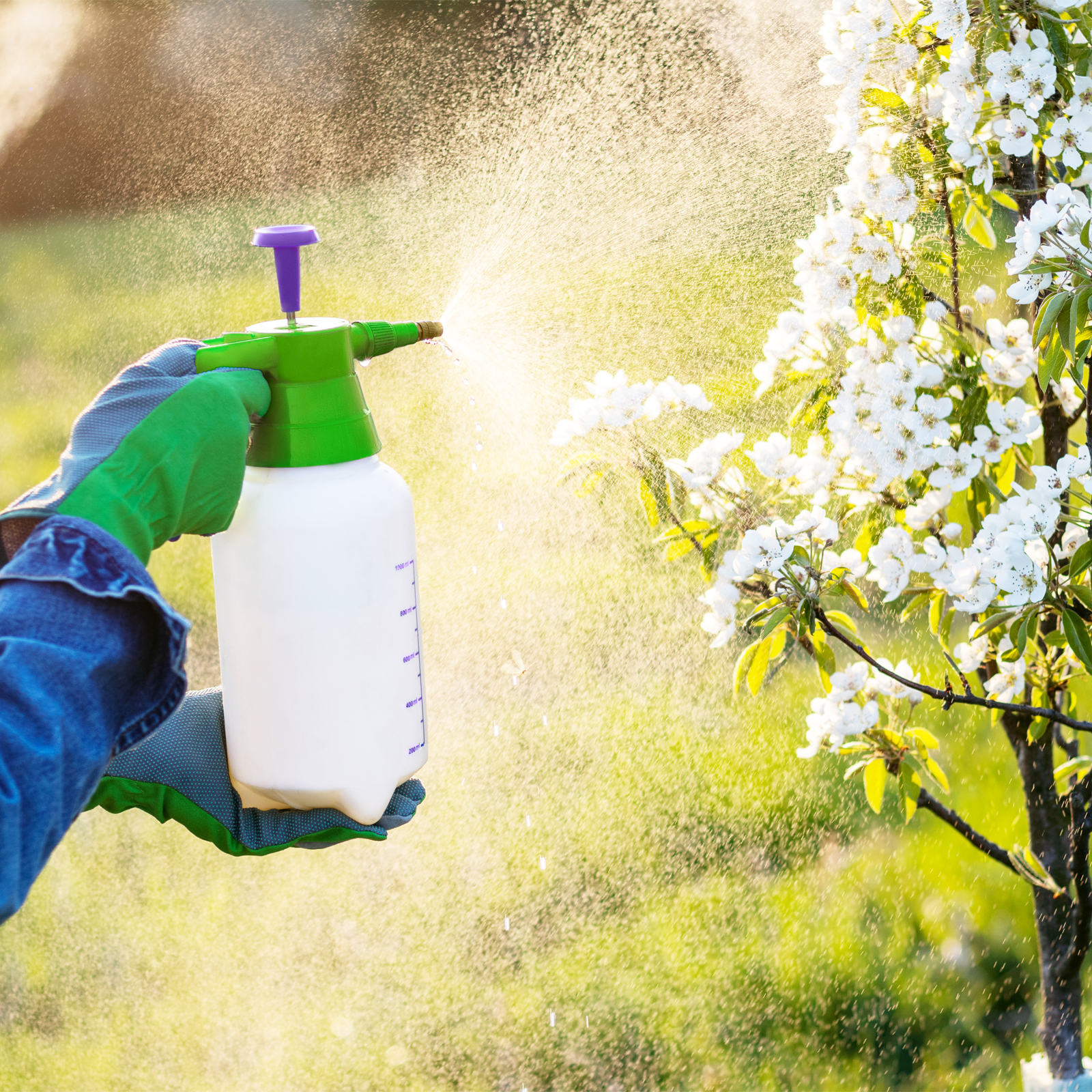 Миниатюра изображения товара 9