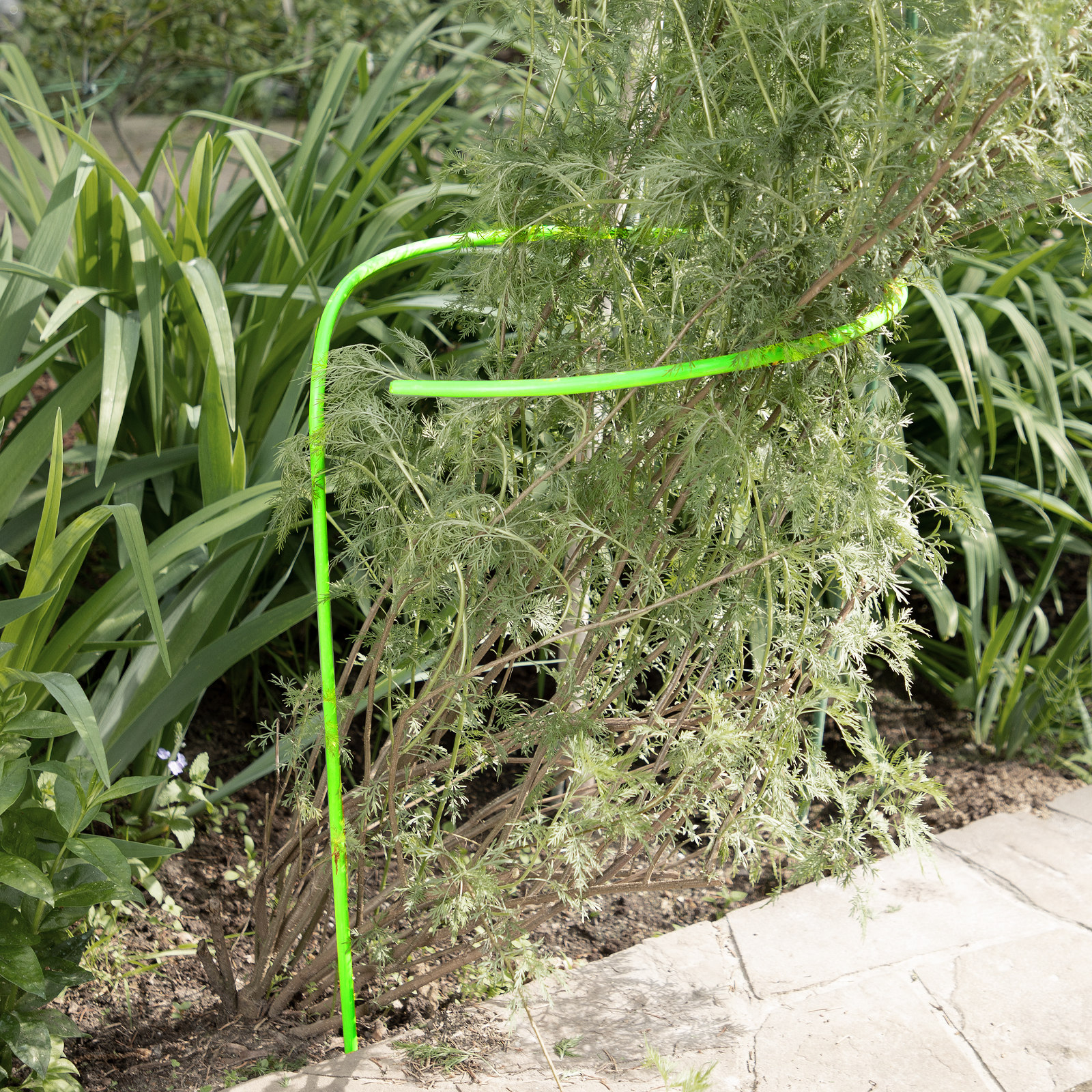 Миниатюра изображения товара 5