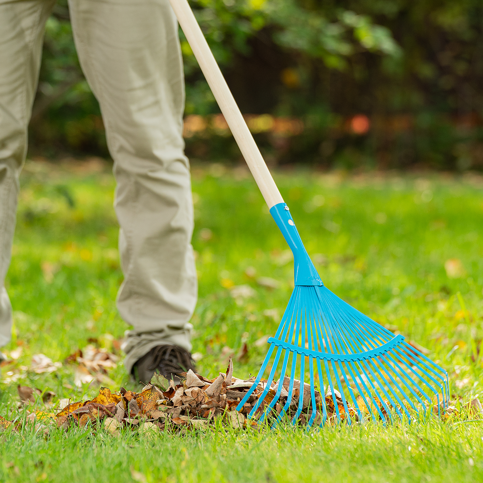 Миниатюра изображения товара 1