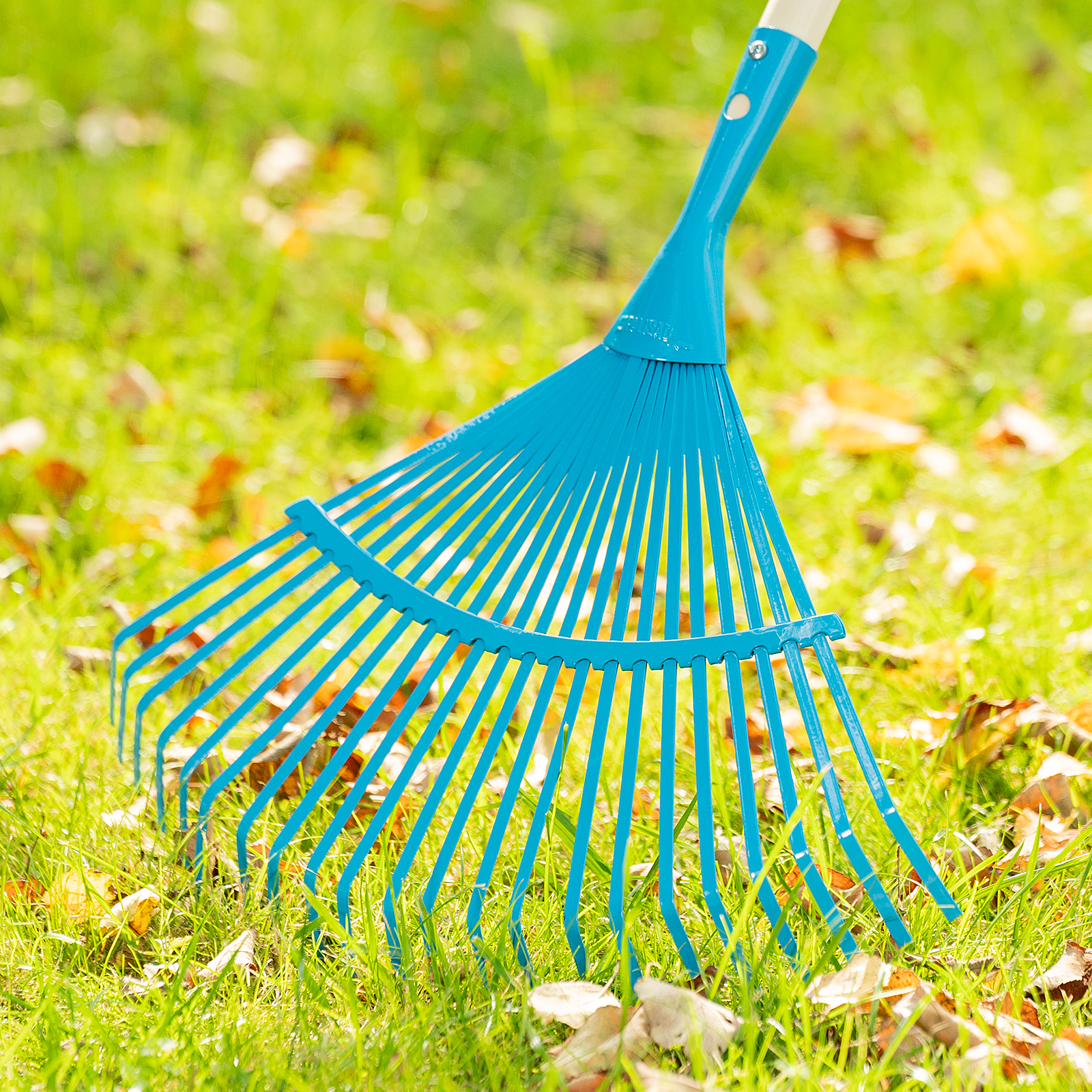 Миниатюра изображения товара 3