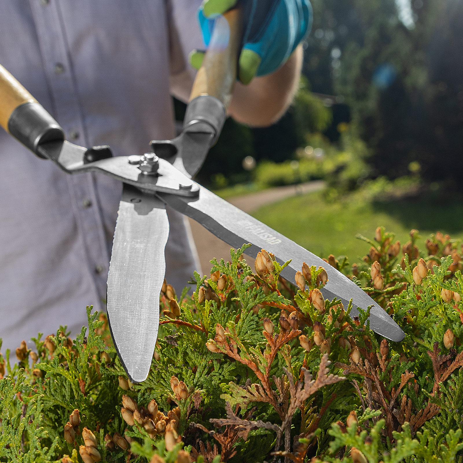 Миниатюра изображения товара 3