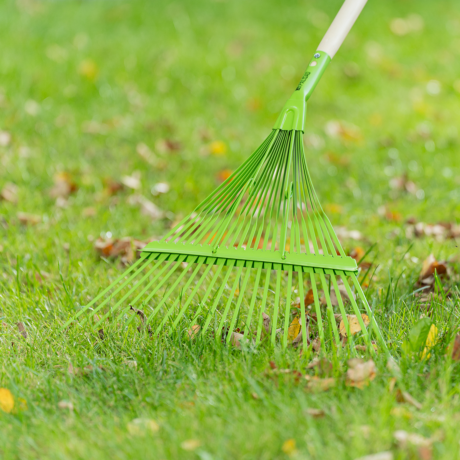 Миниатюра изображения товара 1