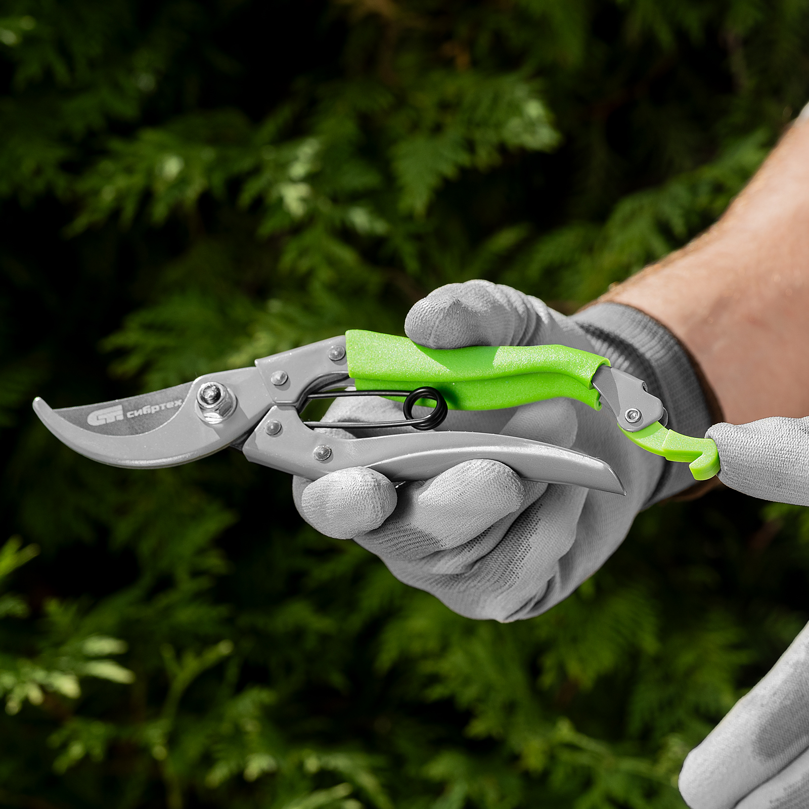 Миниатюра изображения товара 8