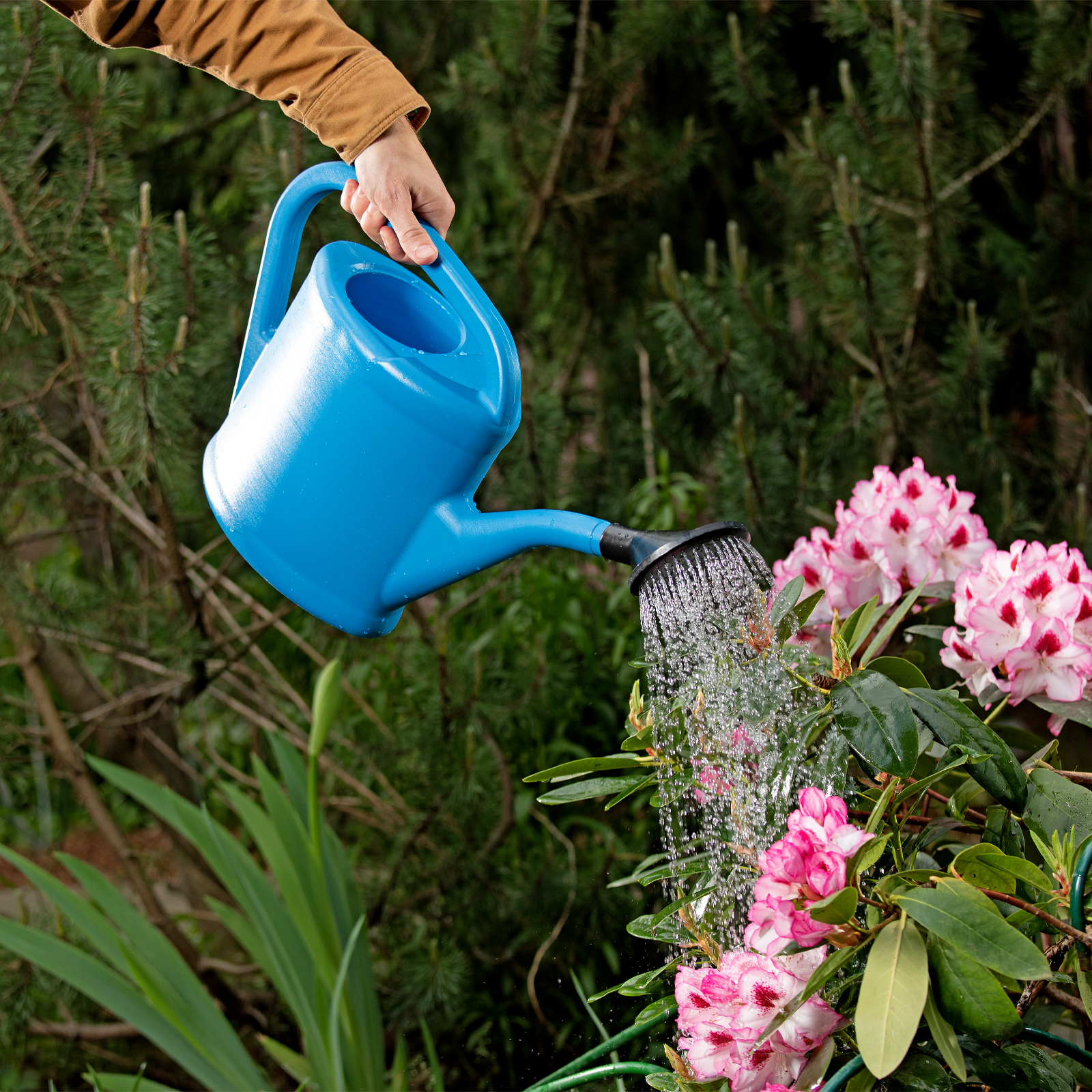 Миниатюра изображения товара 8