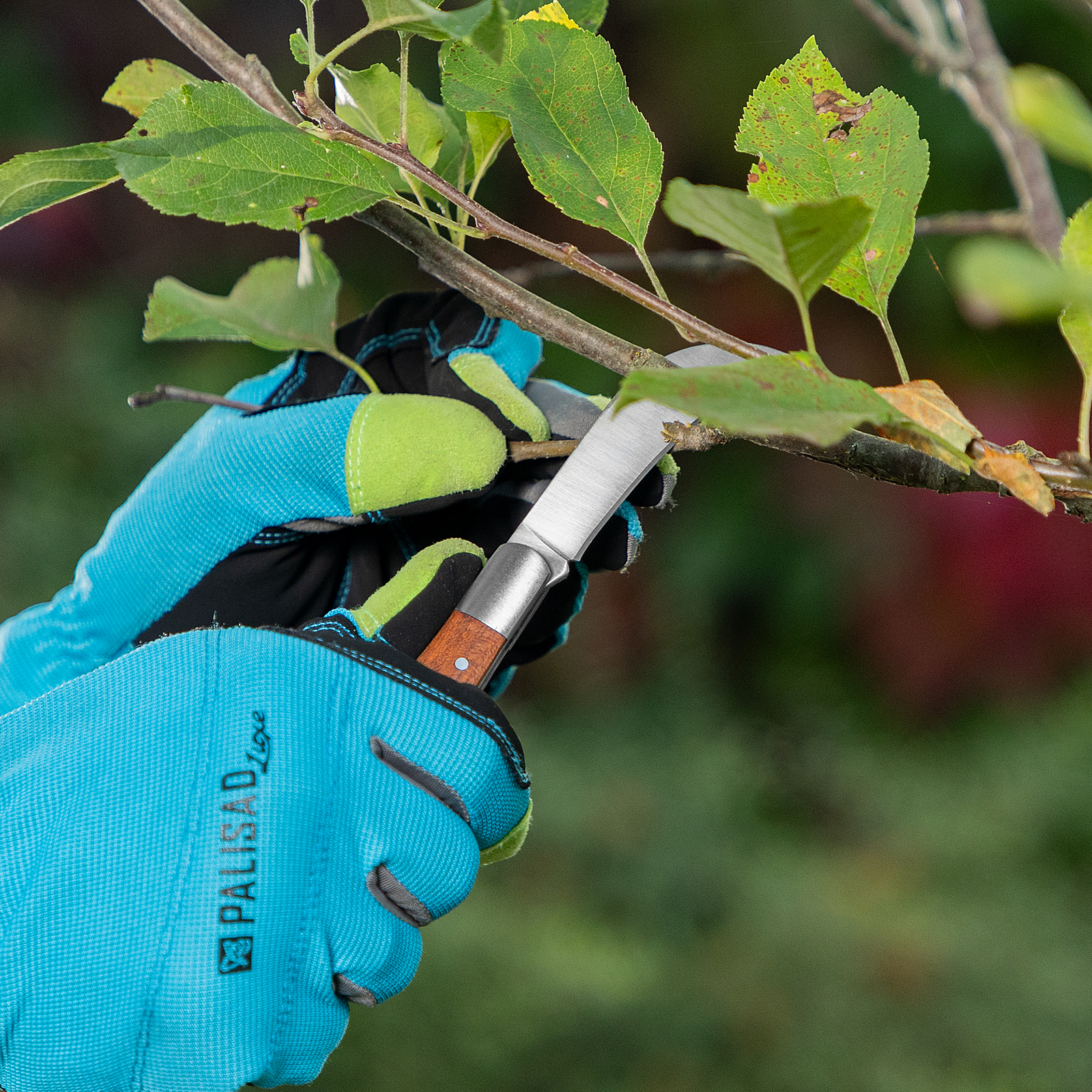 Миниатюра изображения товара 9