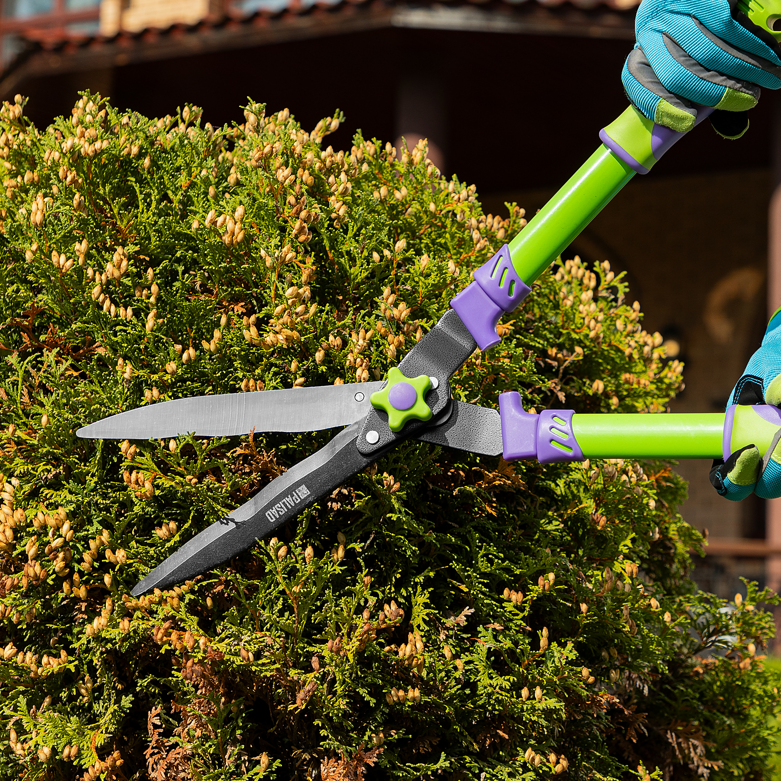 Миниатюра изображения товара 8