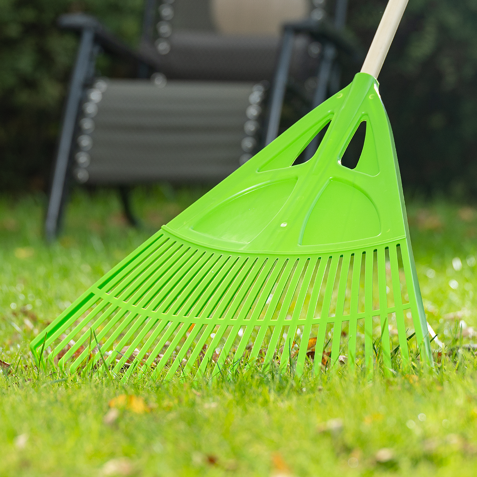 Миниатюра изображения товара 6