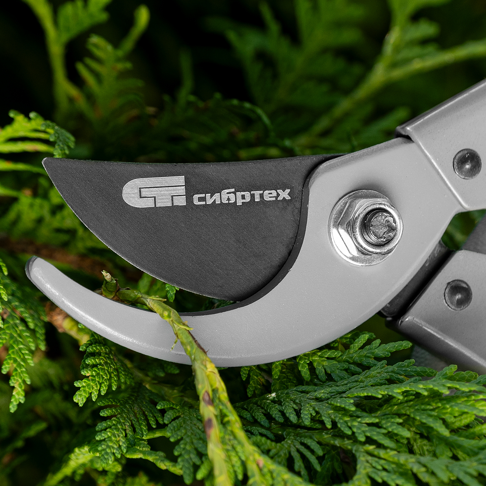 Миниатюра изображения товара 11