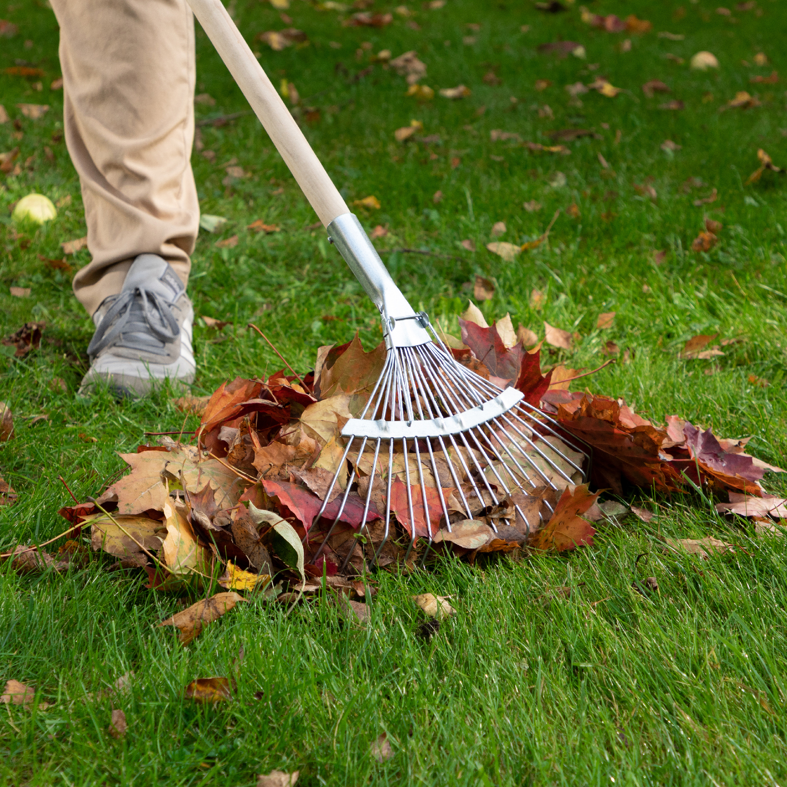 Миниатюра изображения товара 7