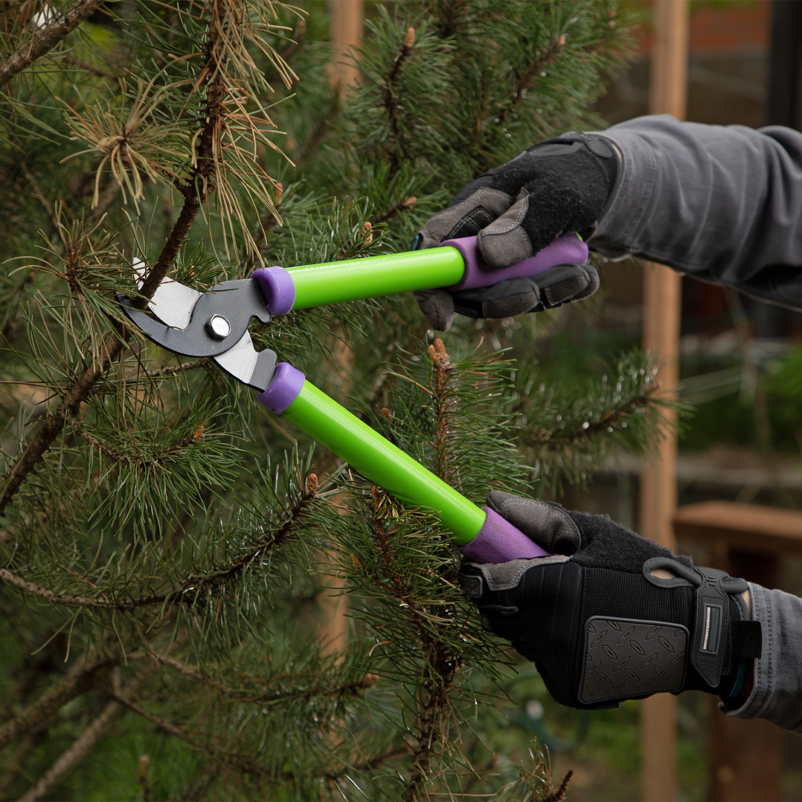 Миниатюра изображения товара 6