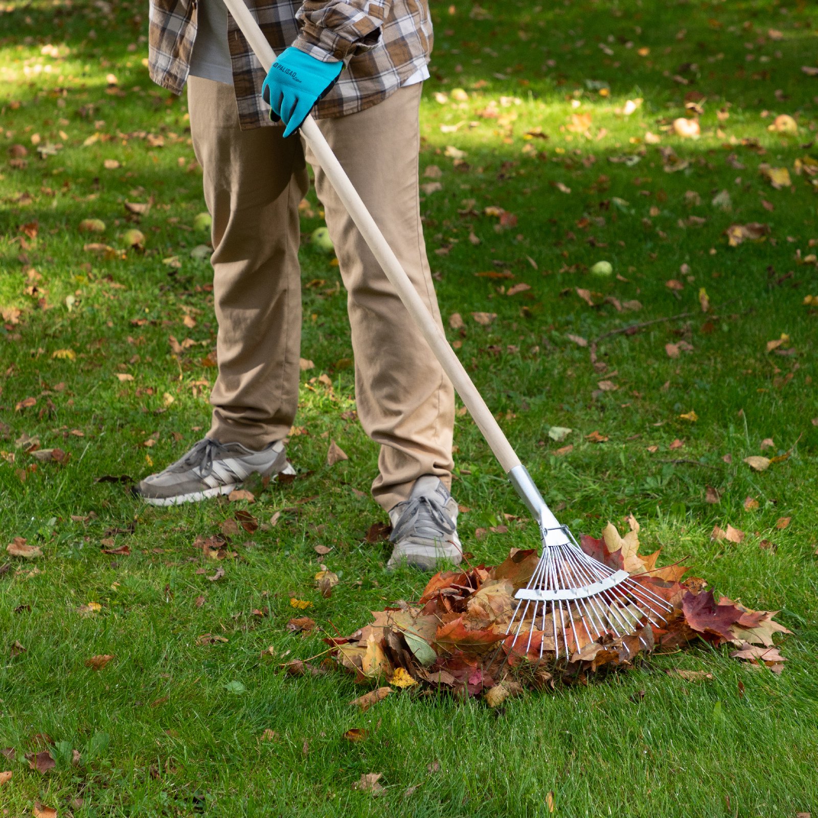 Миниатюра изображения товара 6