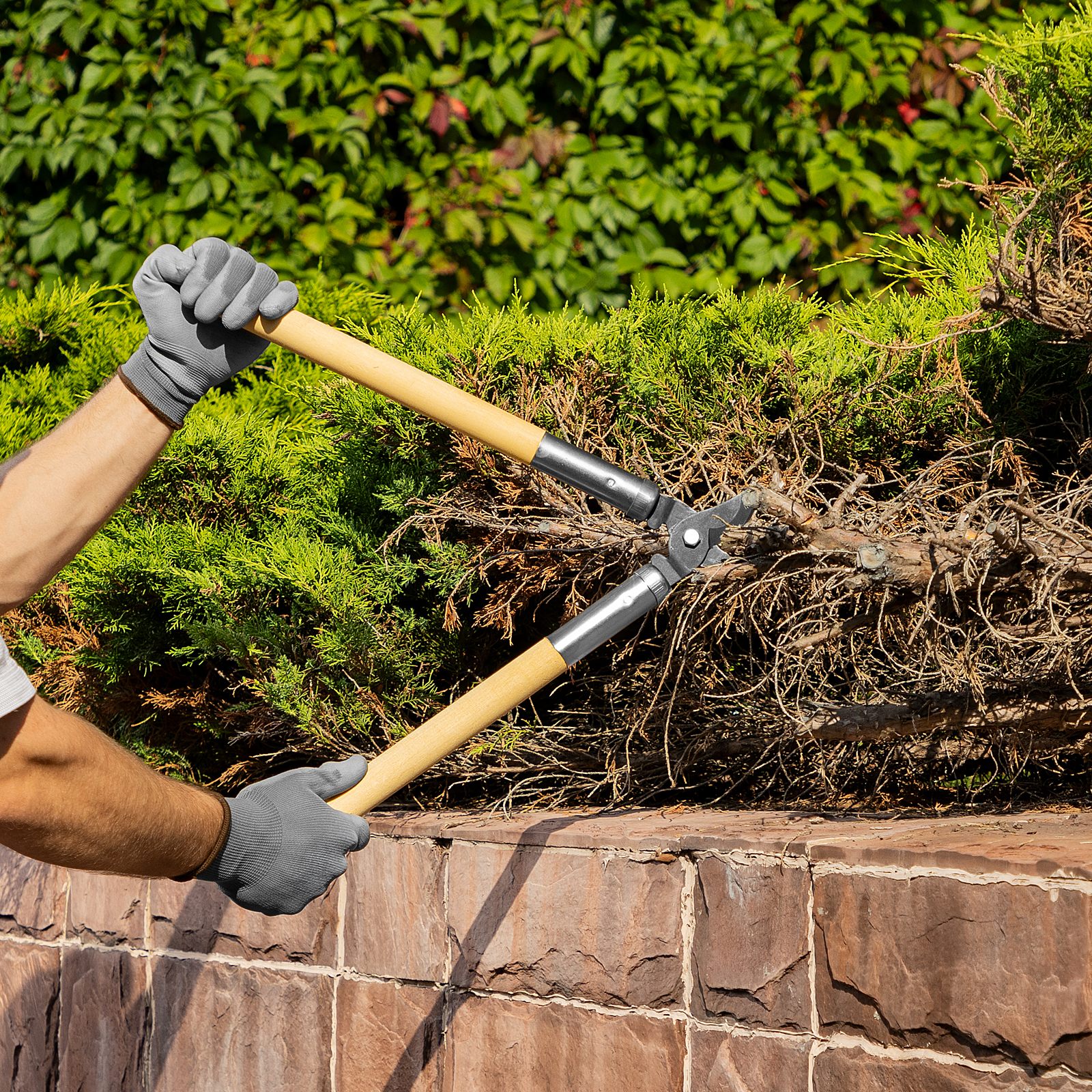 Миниатюра изображения товара 6