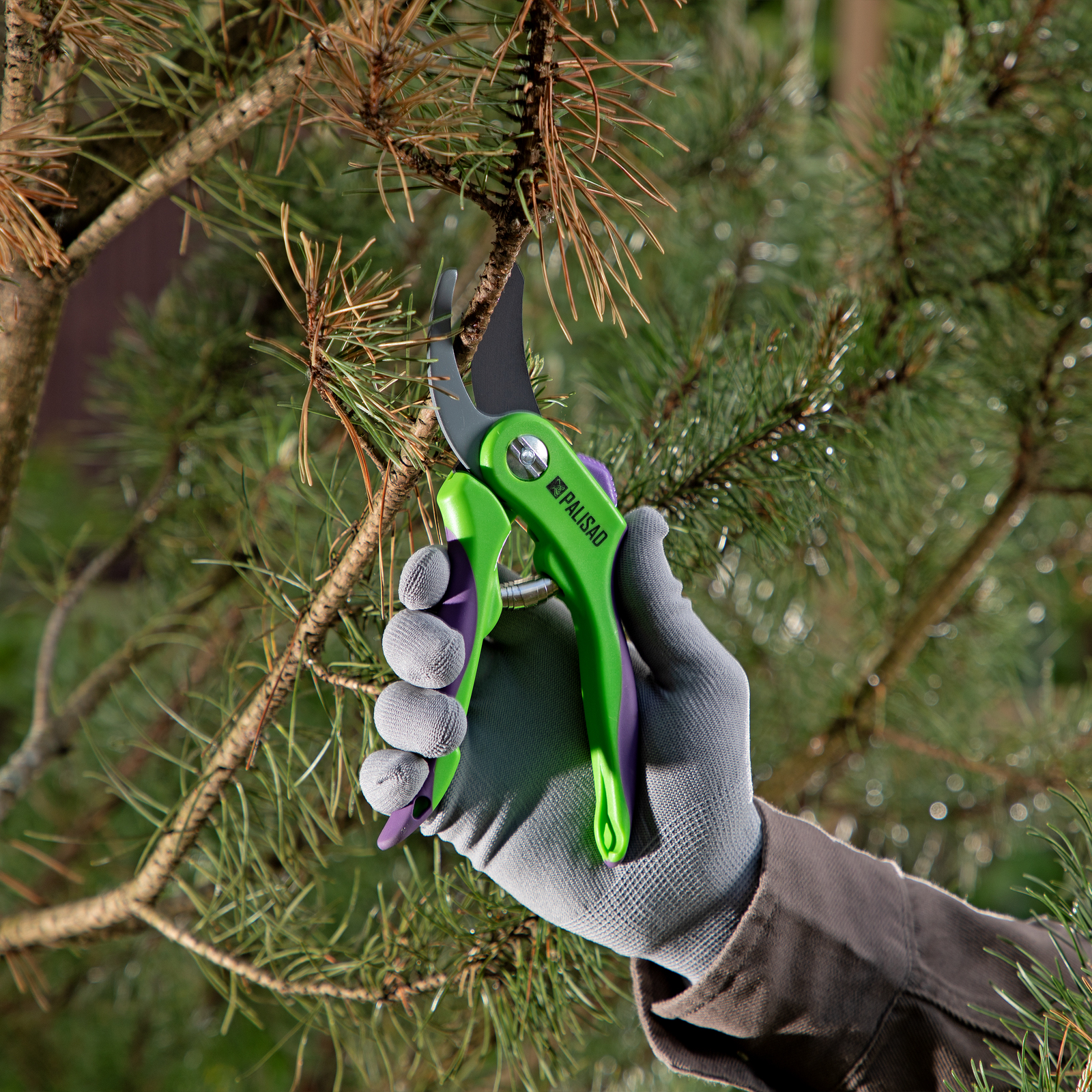 Миниатюра изображения товара 5