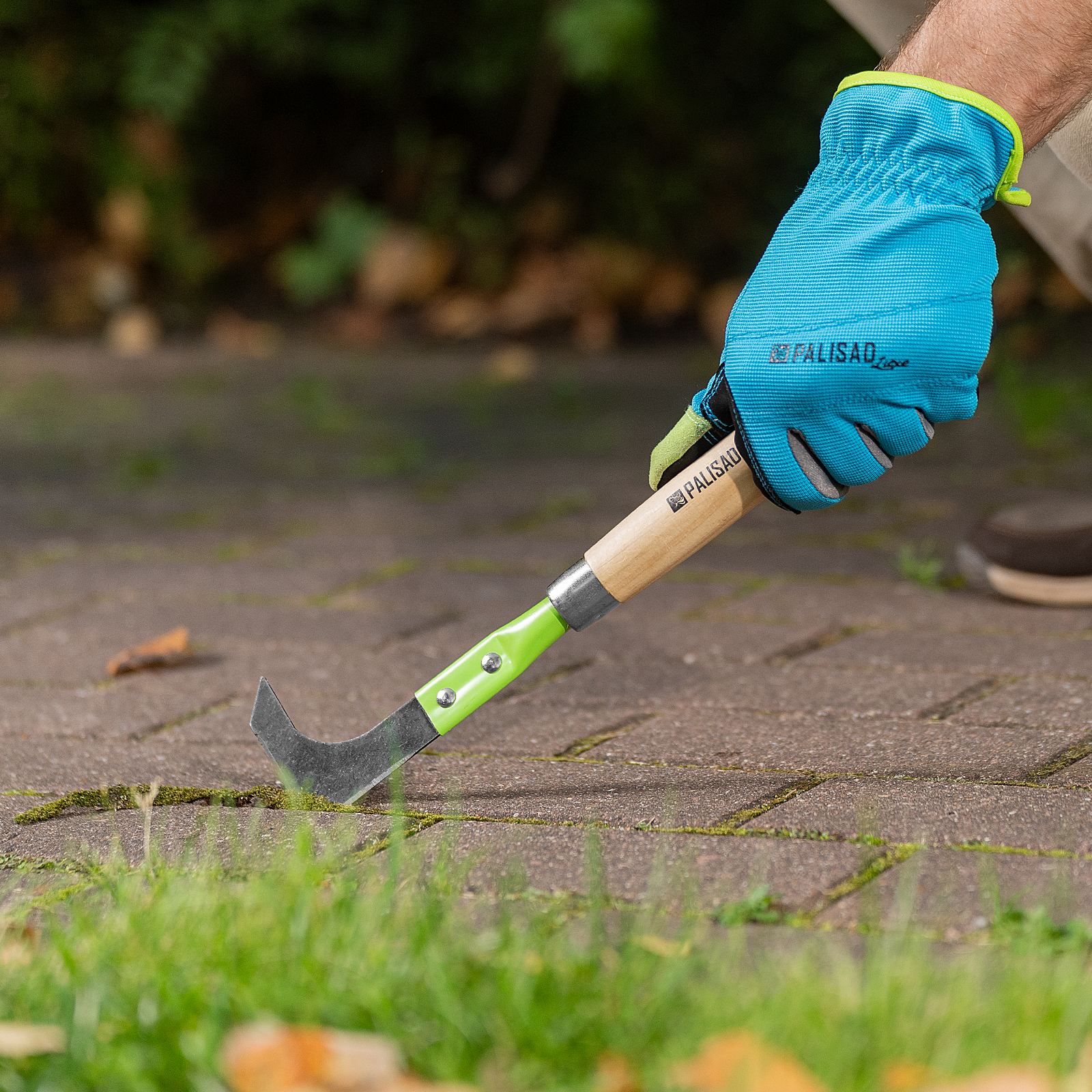 Миниатюра изображения товара 6